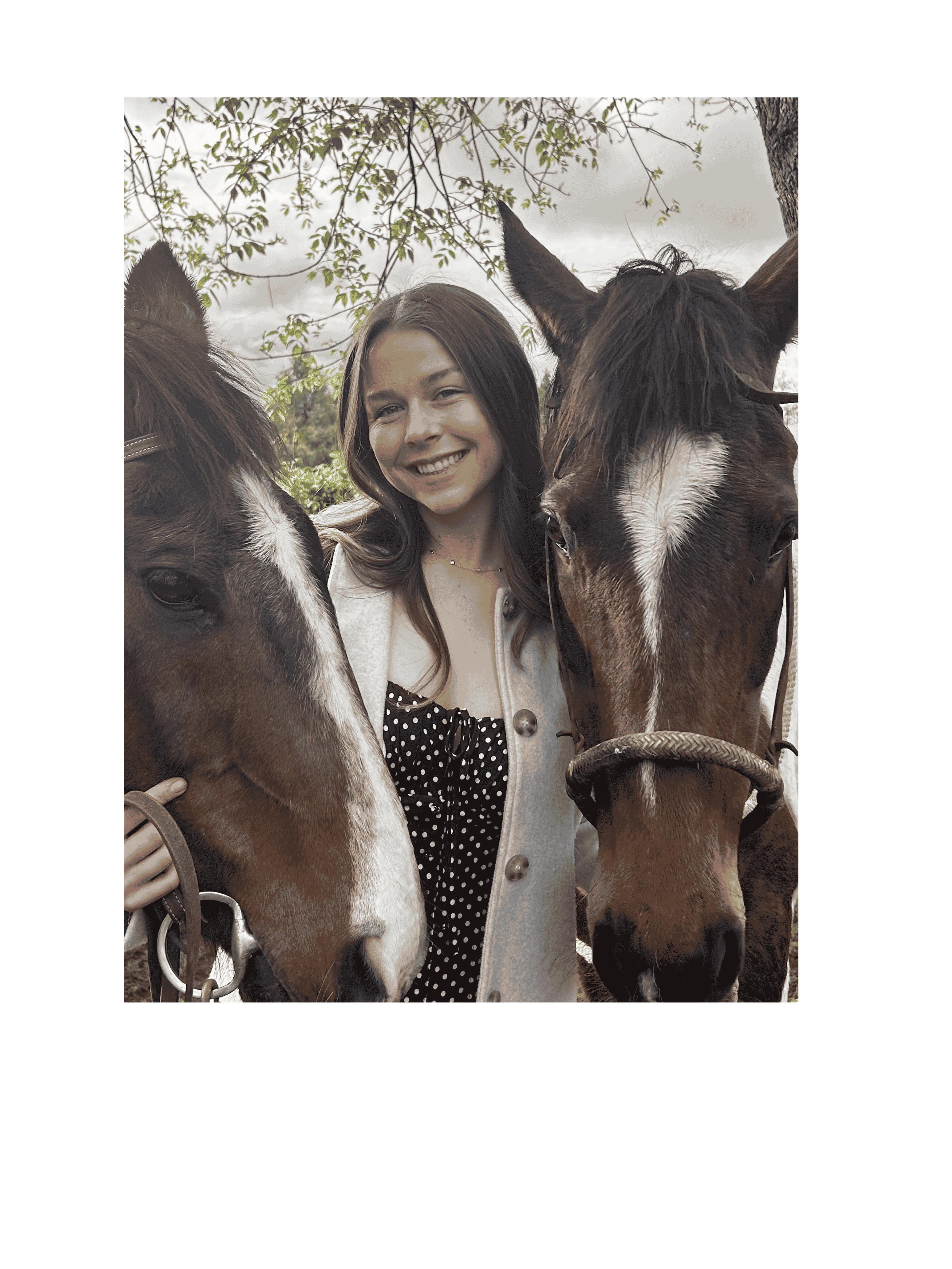 Logo of Halli Zoller