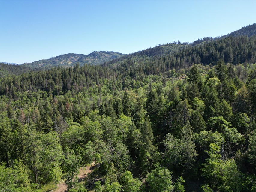 Listing Image 51