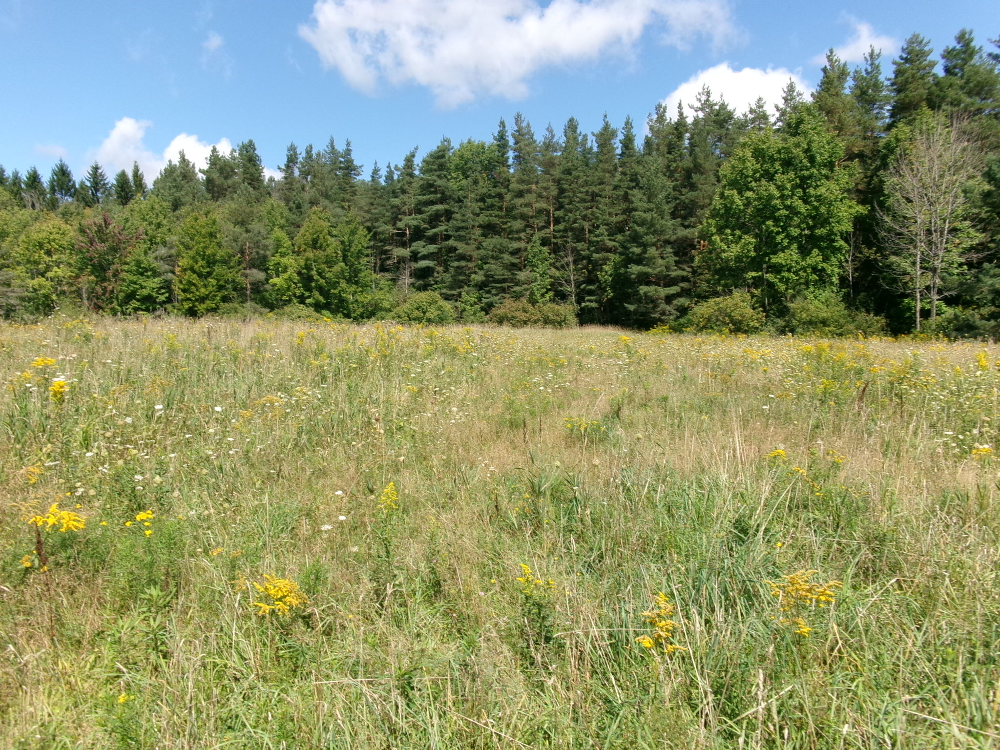 Listing Image 27