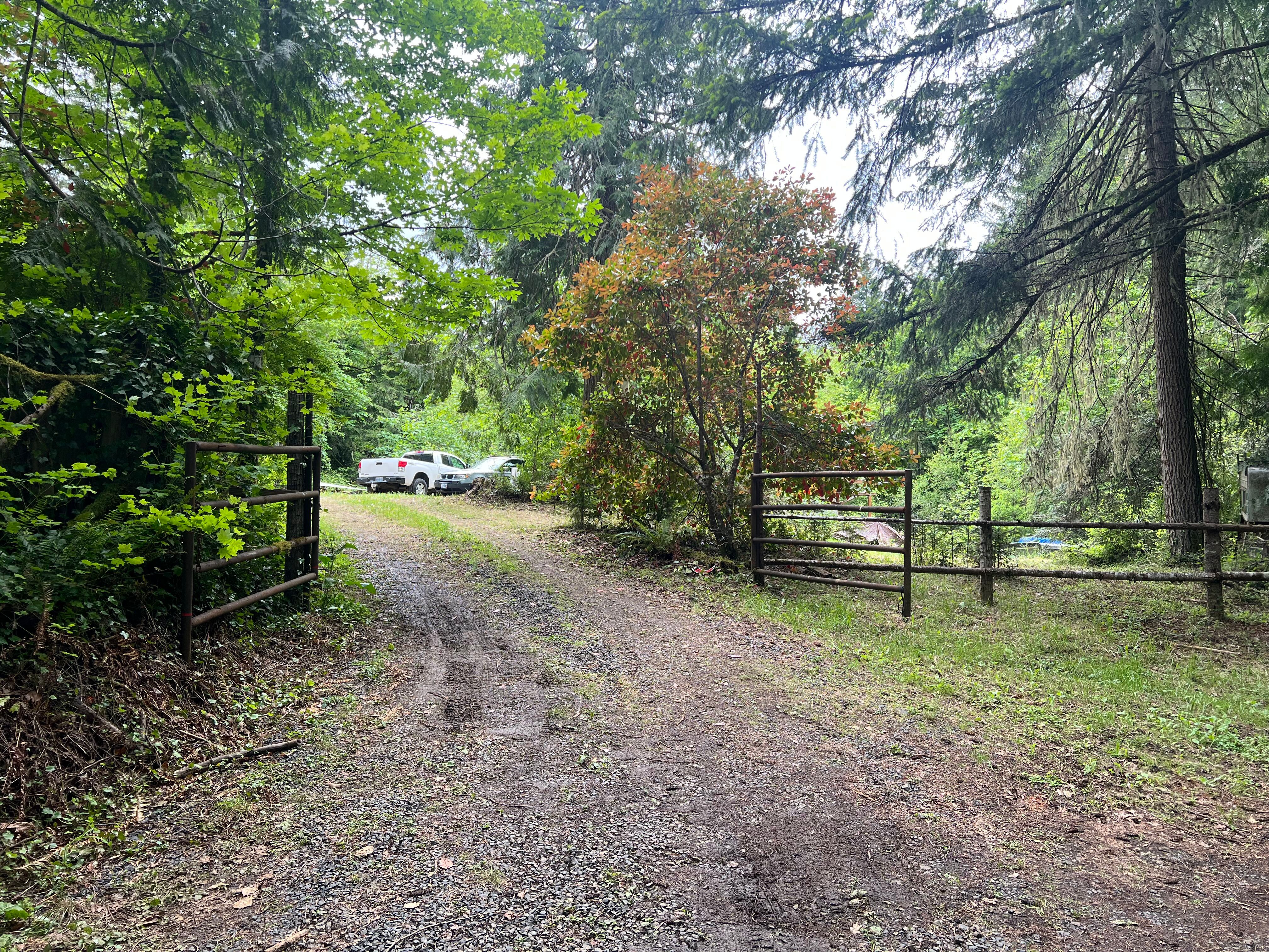 83715 Peninsula Rd Fall Creek OR
