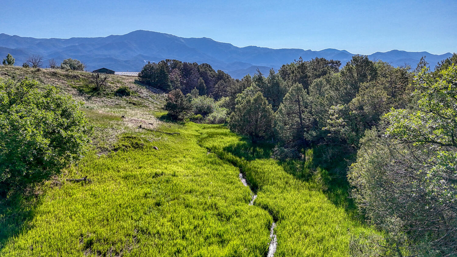 A true Colorado Mountain retreat!