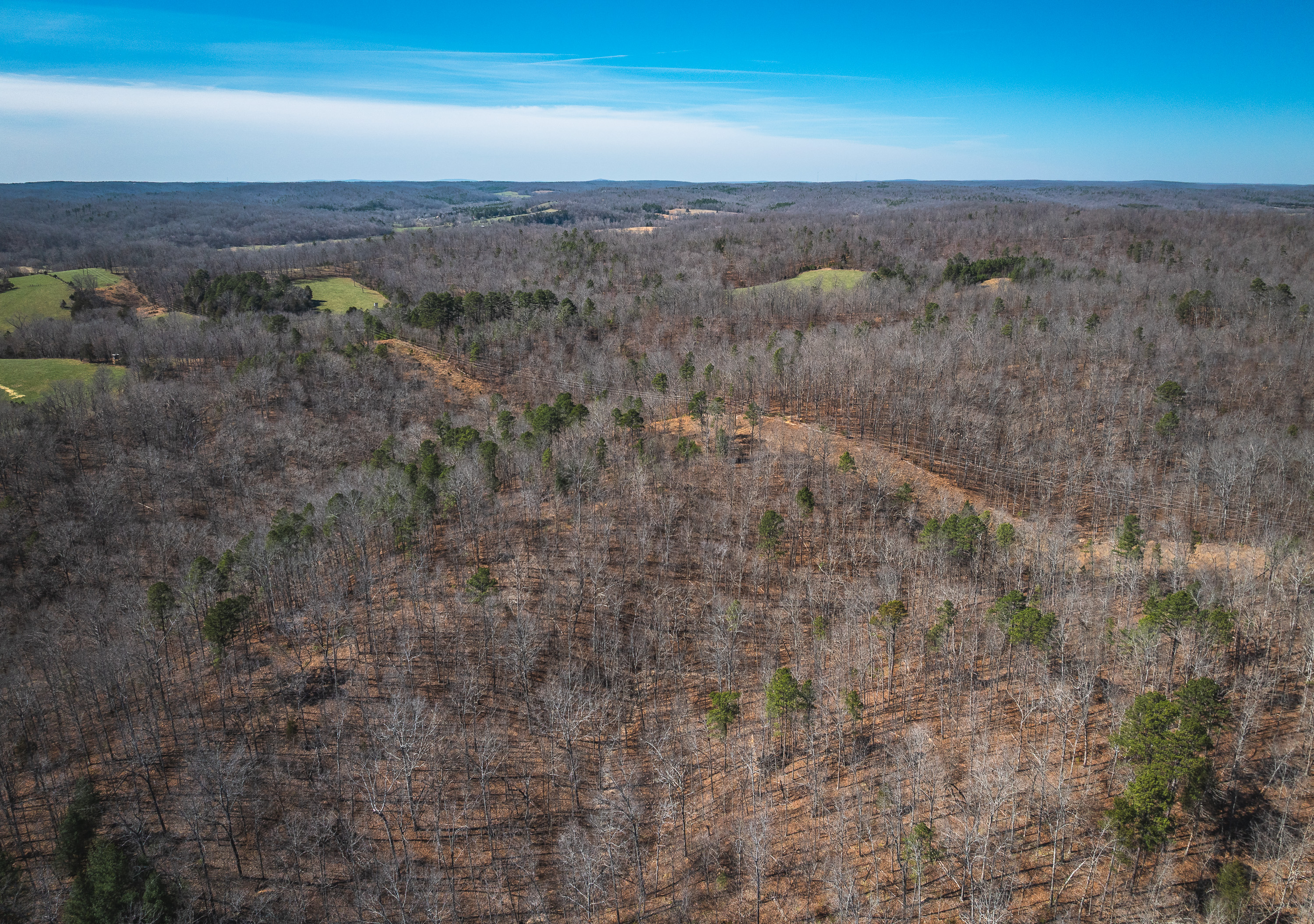 58 Acre Wildlife Retreat