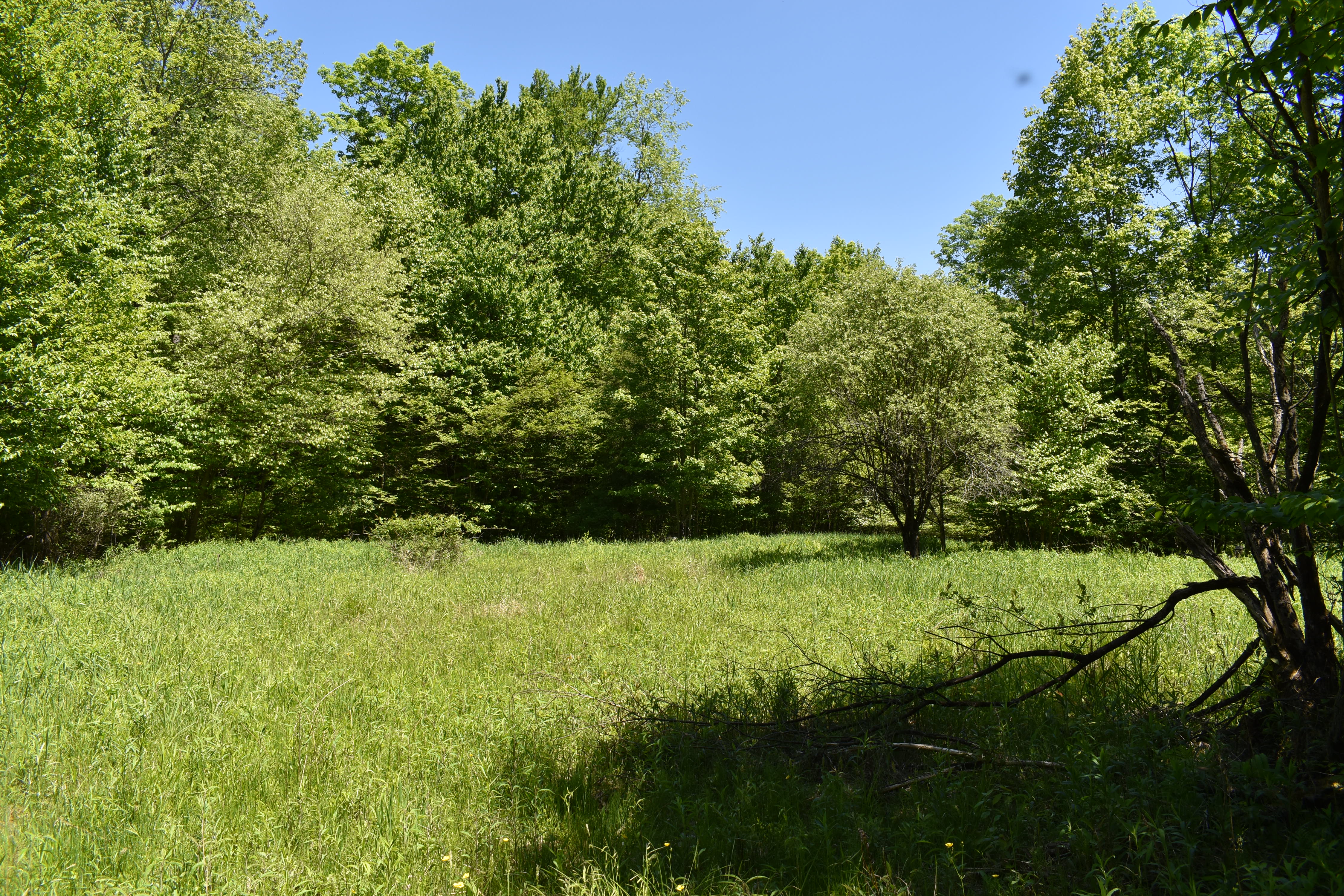 Listing Image 36