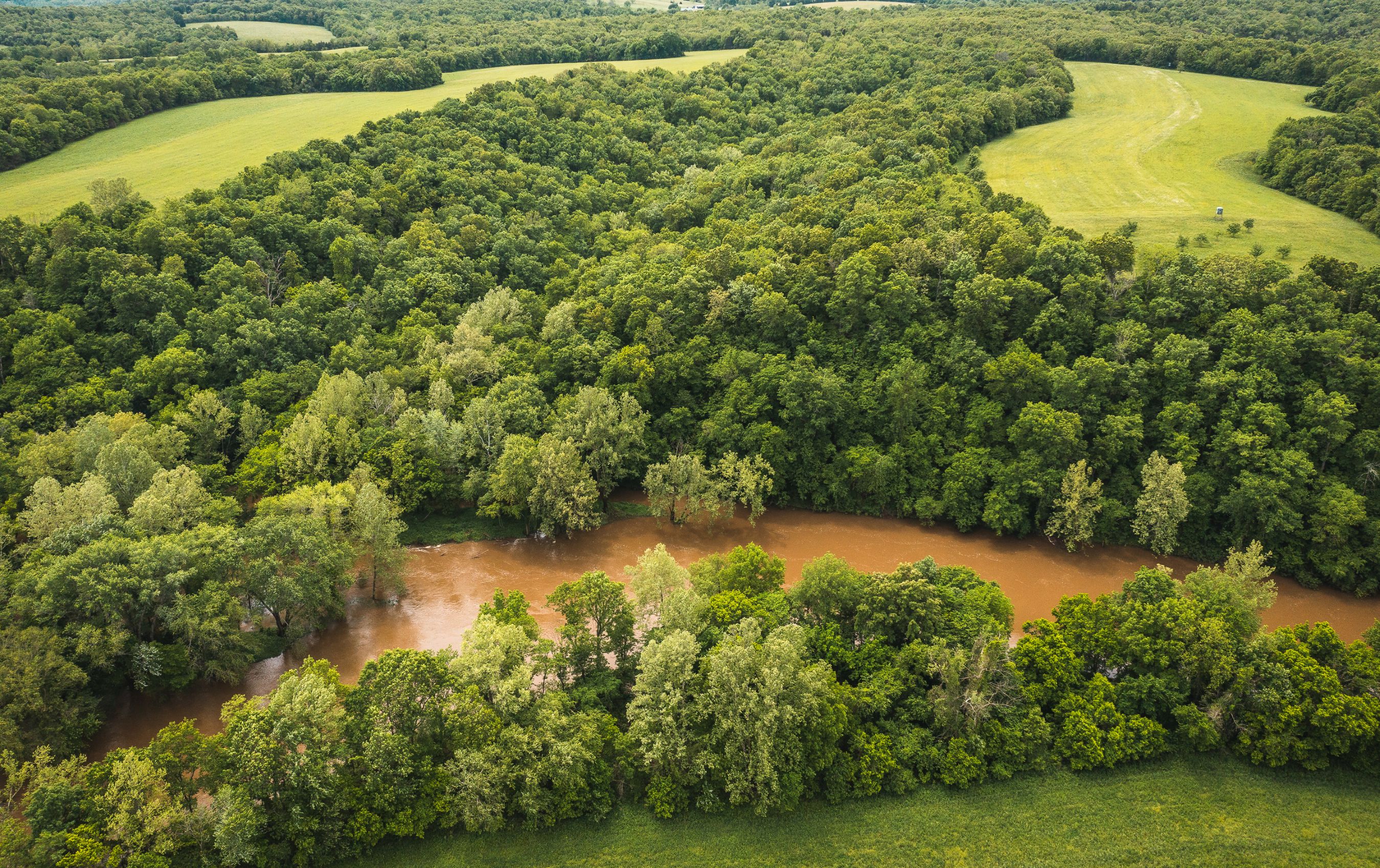 Gasconade Angus Ranch