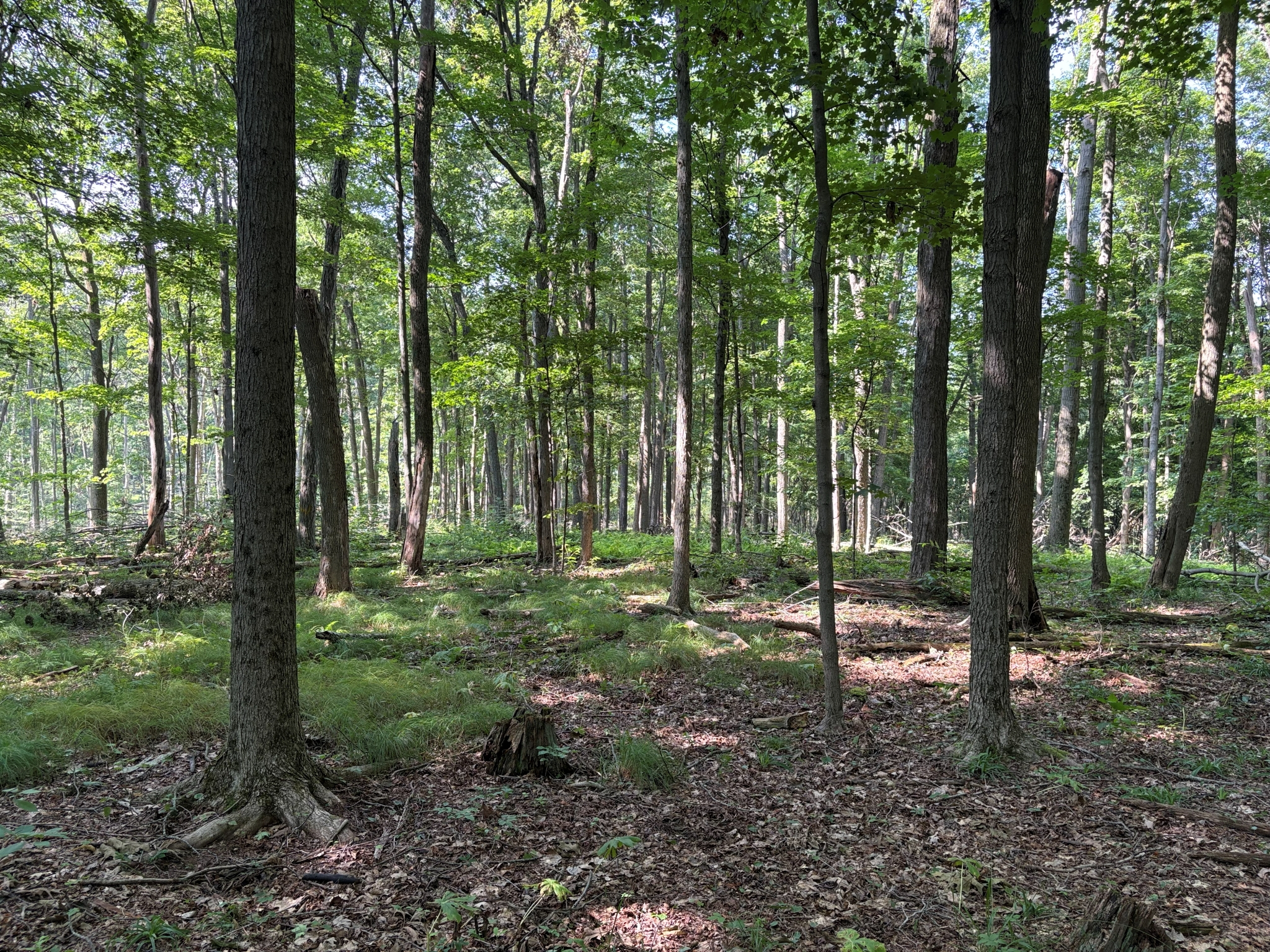 Listing Image 20
