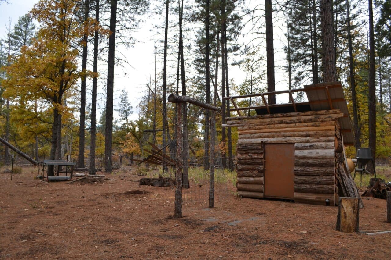 Listing Image 10