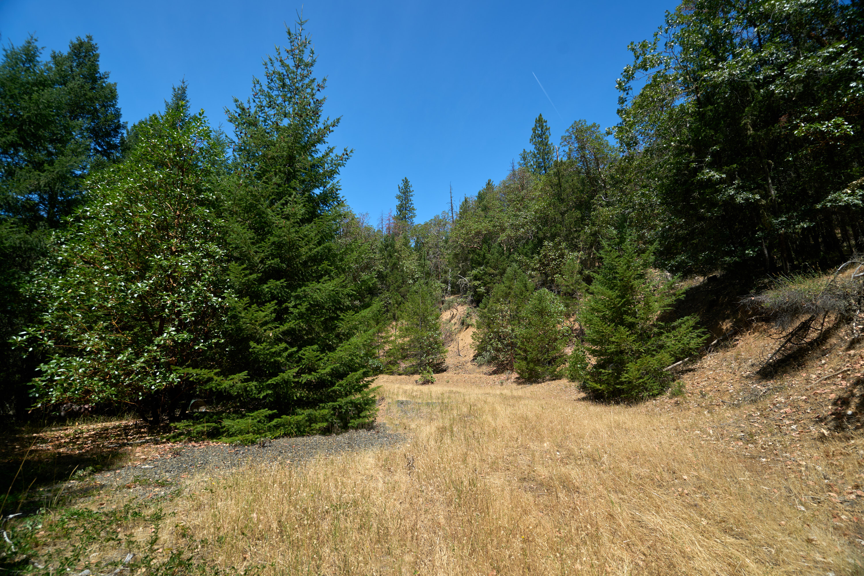 1140 Tomahawk Drive