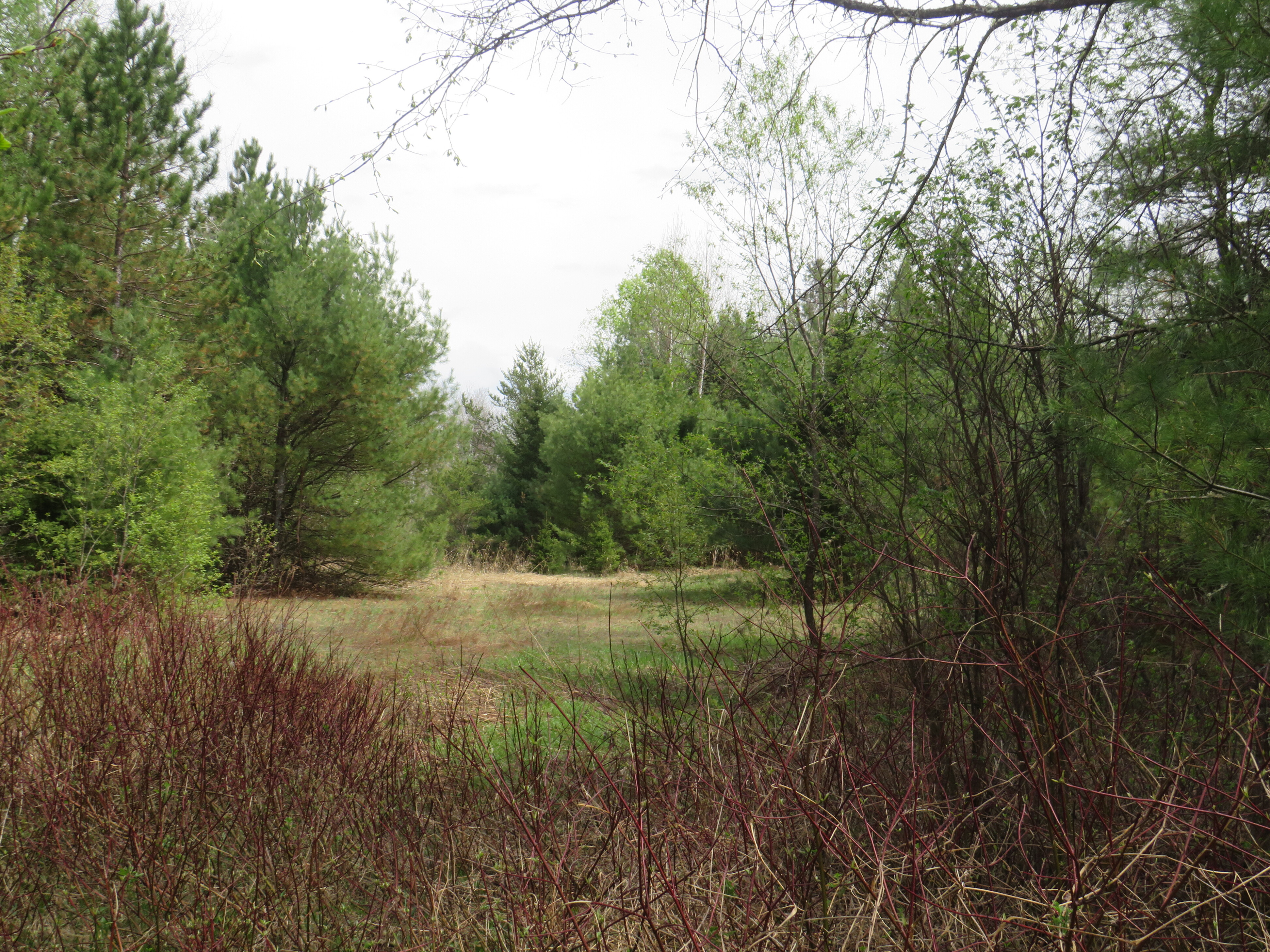 160 Acre Wilderness Retreat 50175391