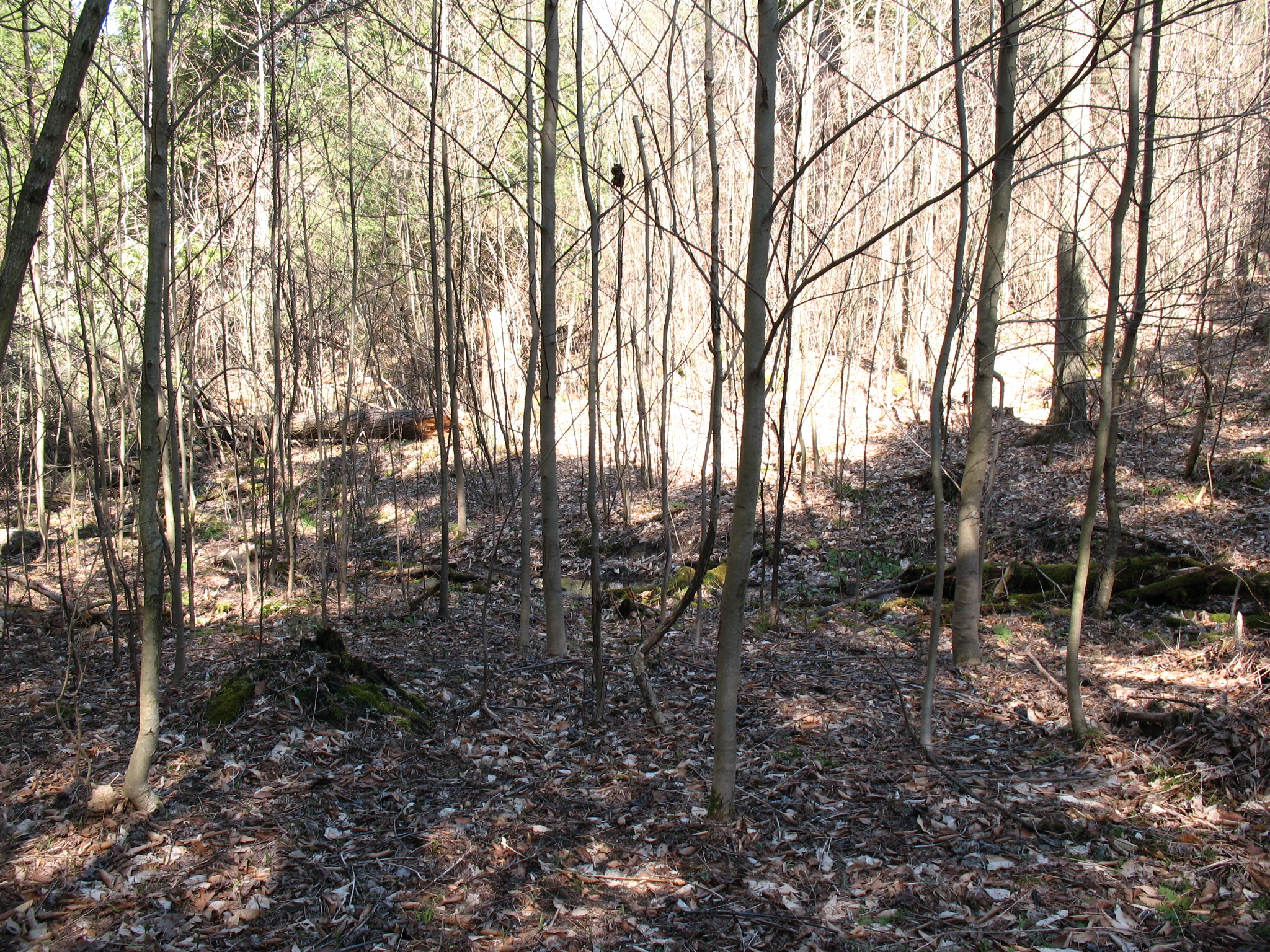 Listing Image 35