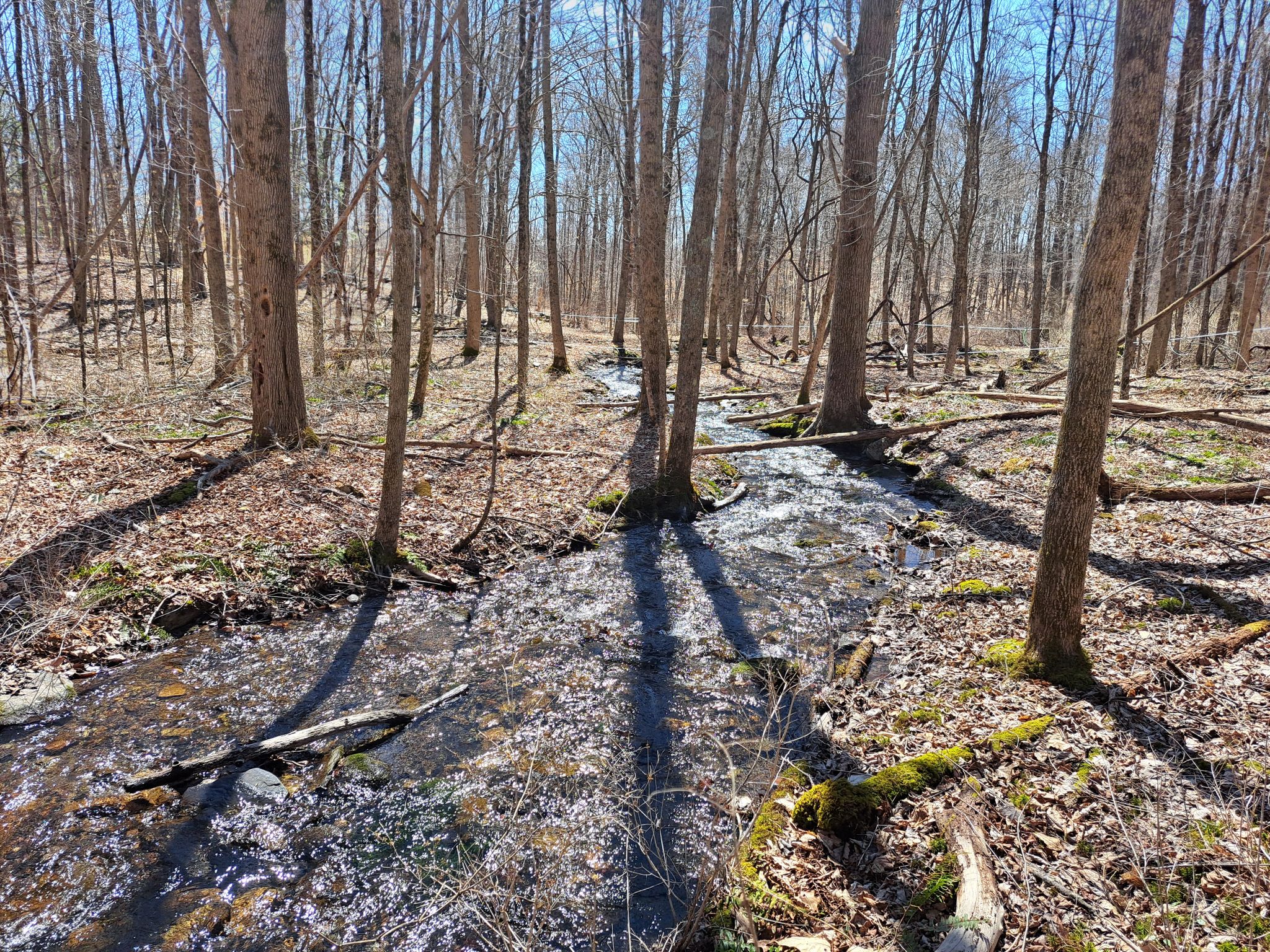 Listing Image 40