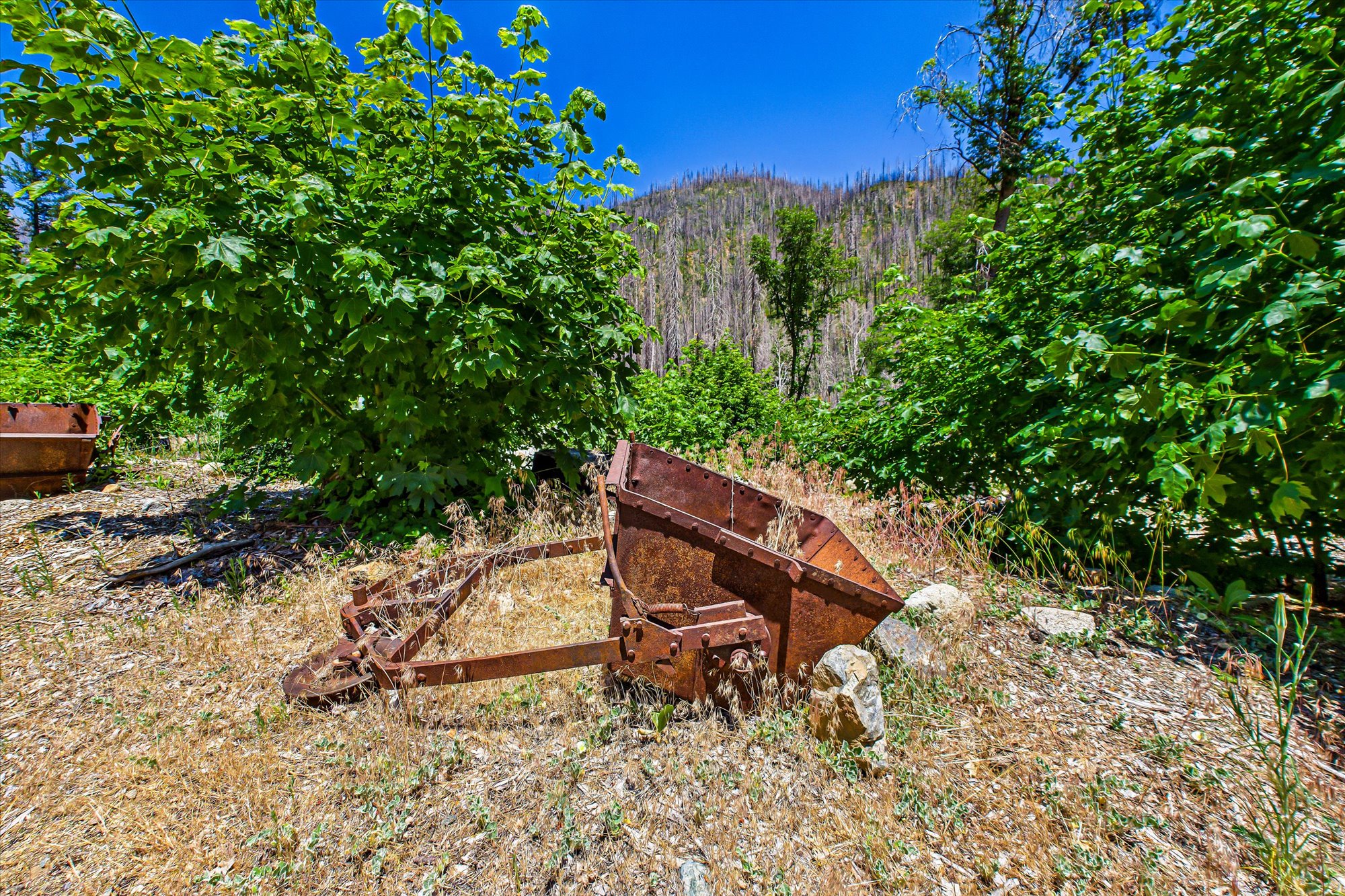 Almay Ranch