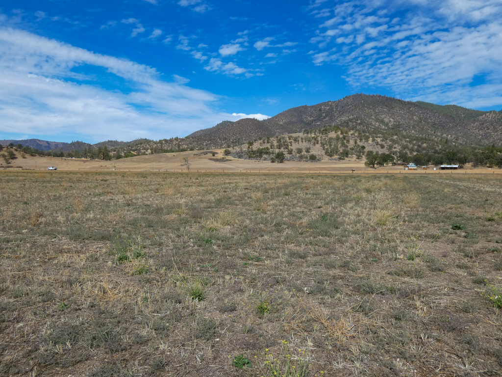 North Scott Valley acreage