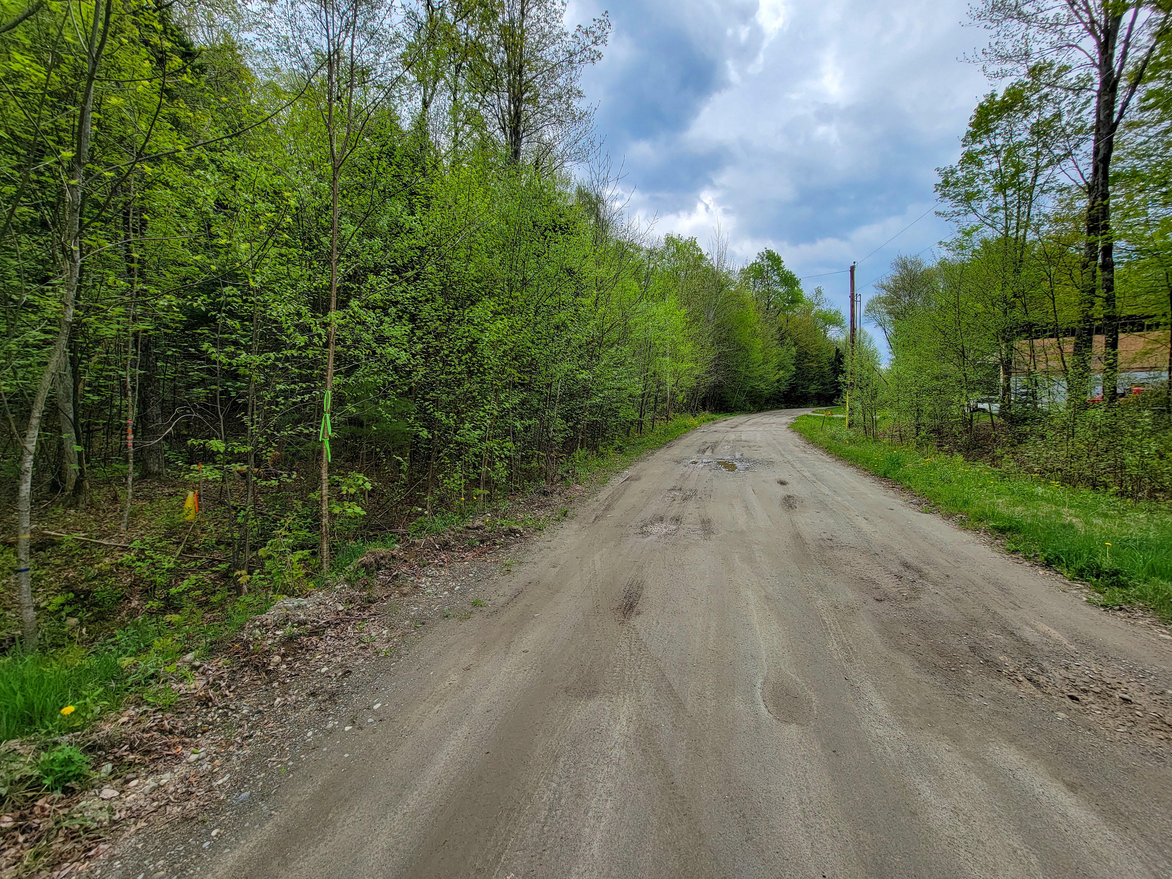 Listing Image 28