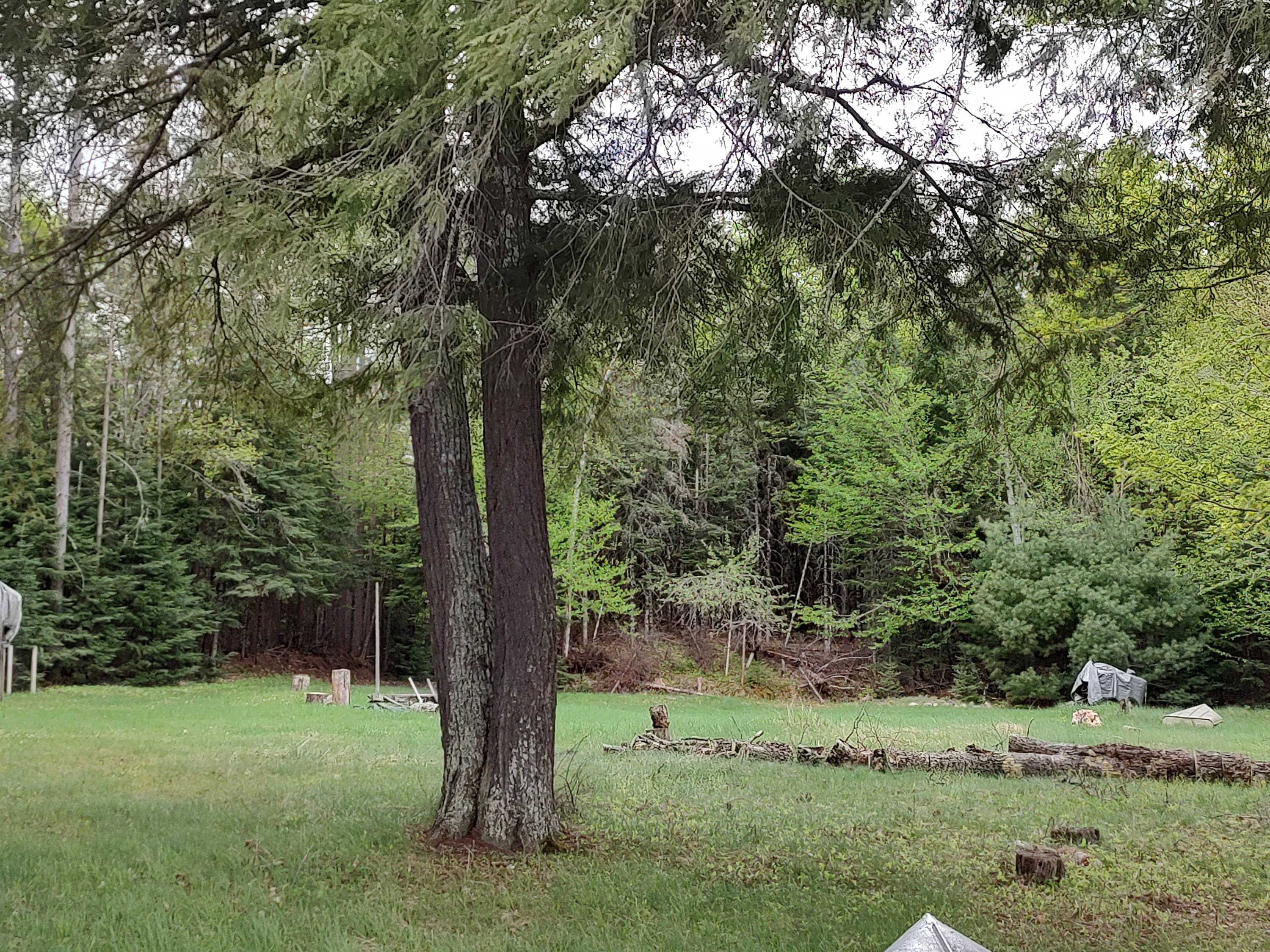 U.P. Robinson Lake Parcel 50167828