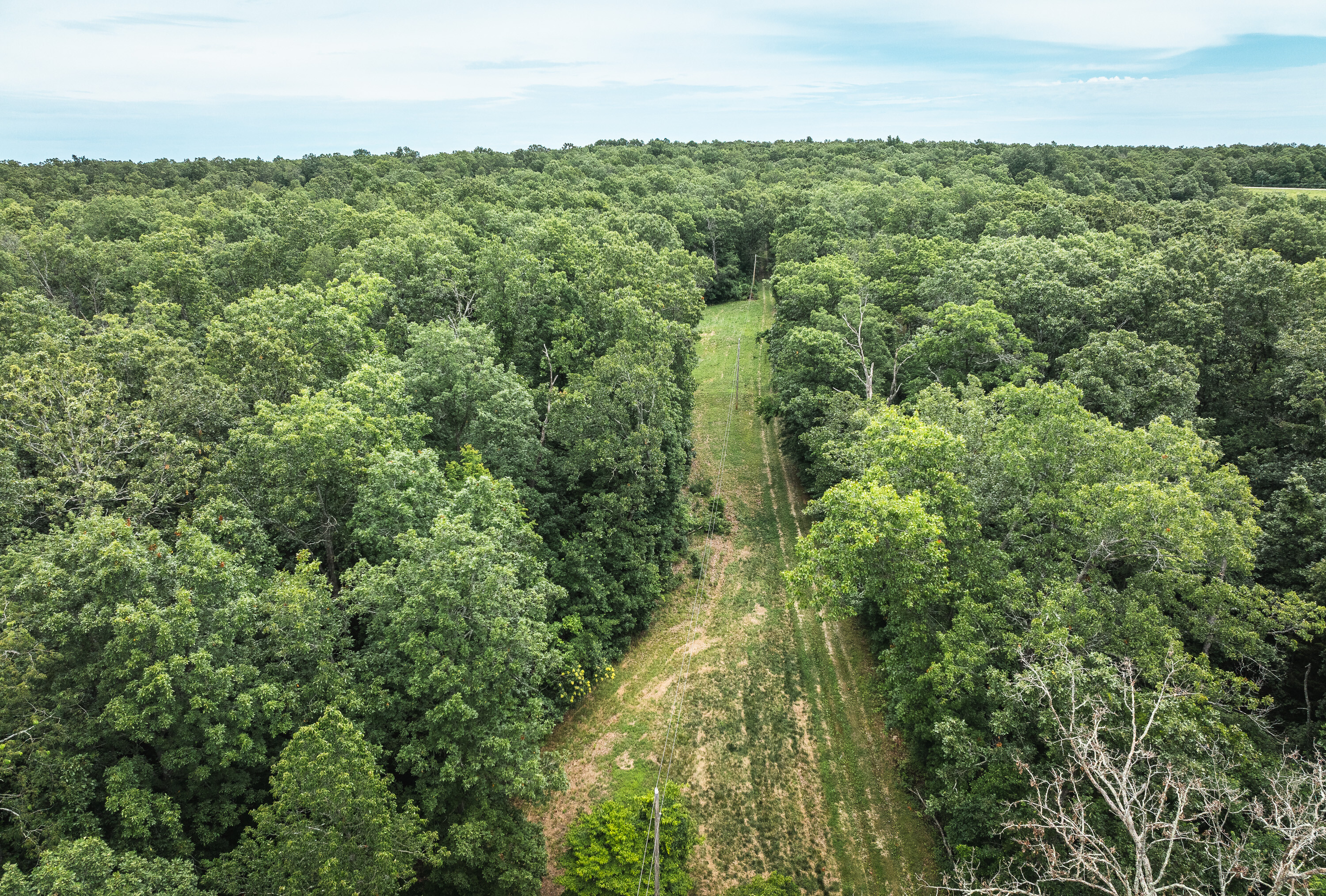 Phelps County Land & Timber 2 Tracts
