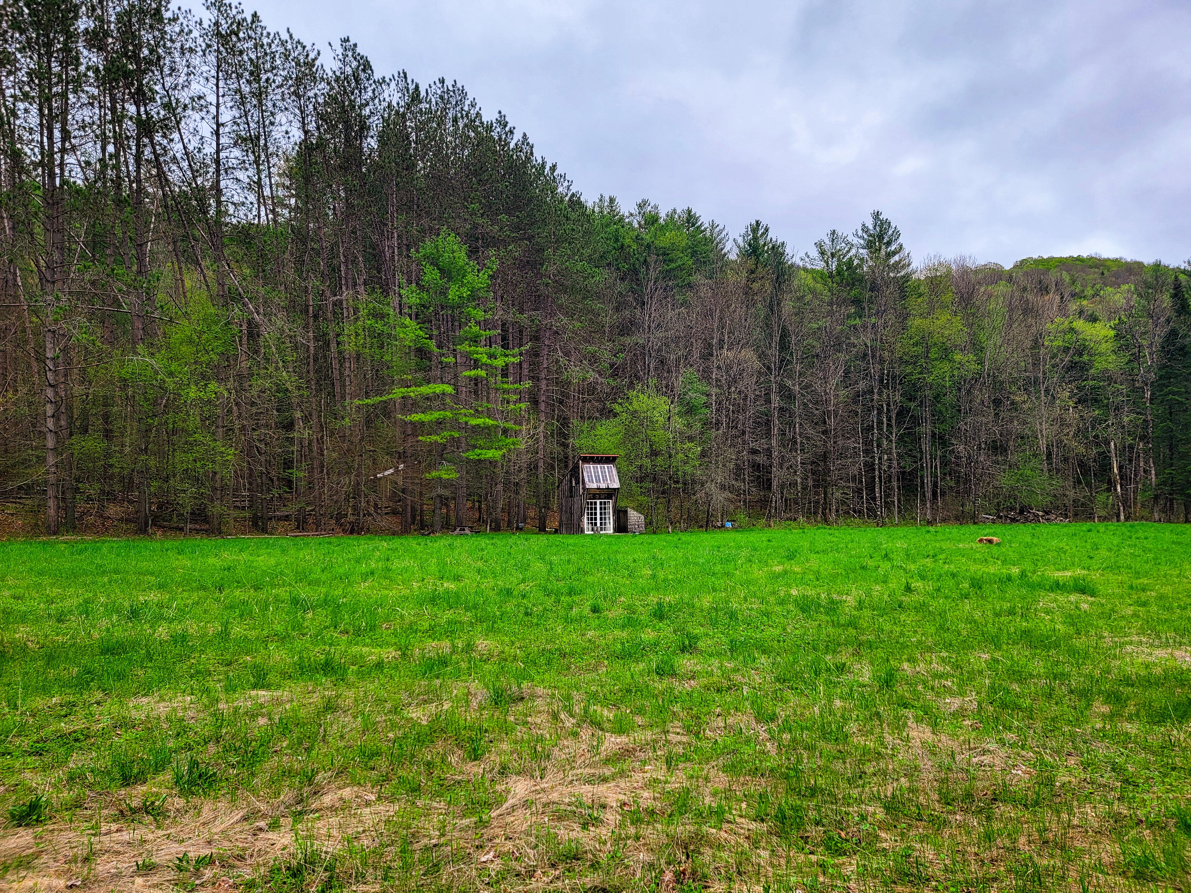12 Meadowbrook Ln - Chelsea