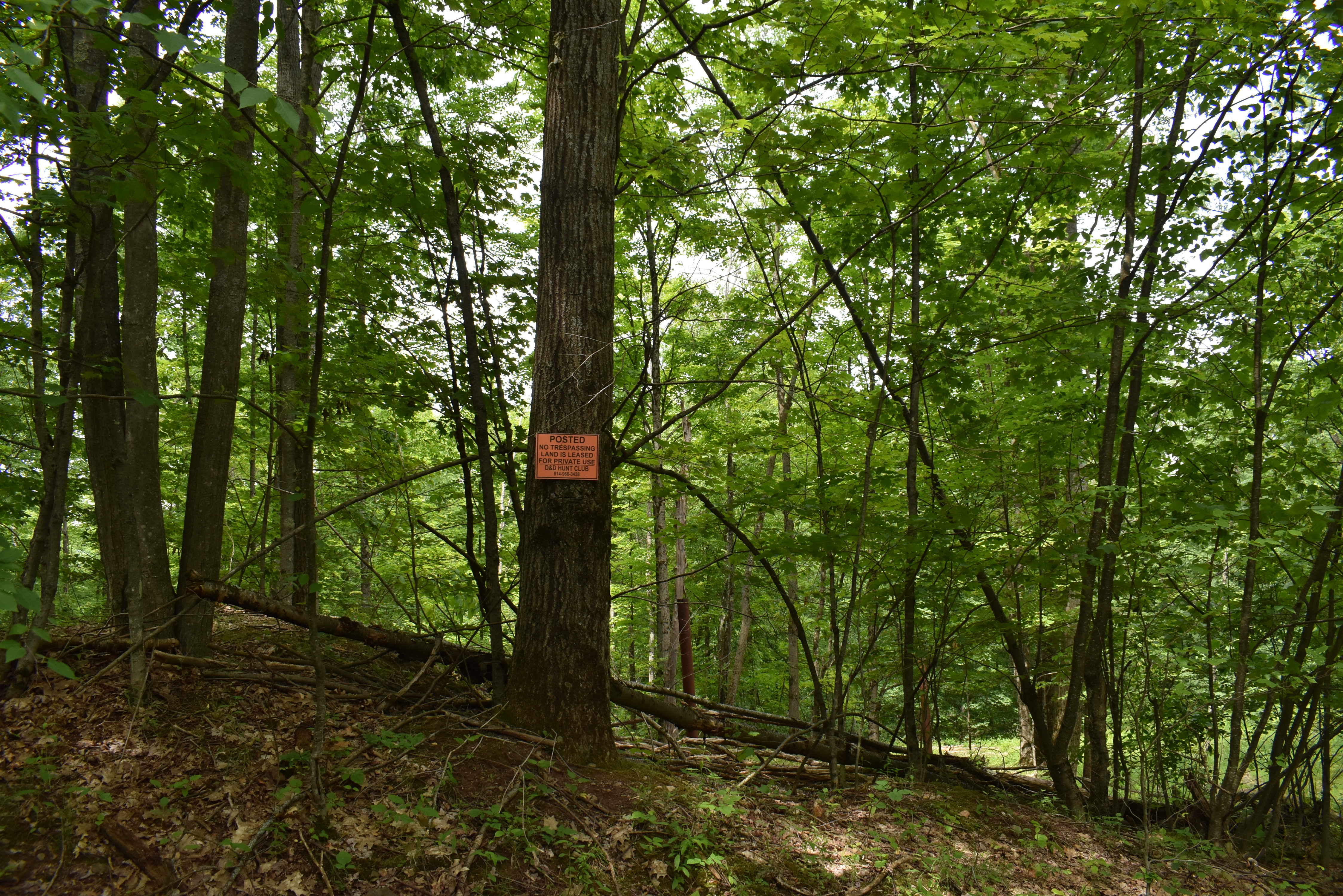 Listing Image 25