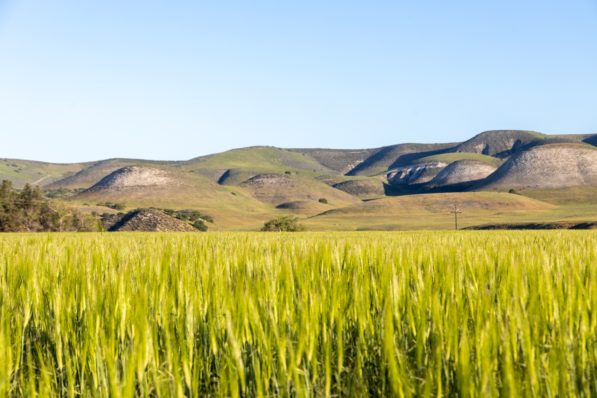 Reynolds Land and Cattle Co. Ranch