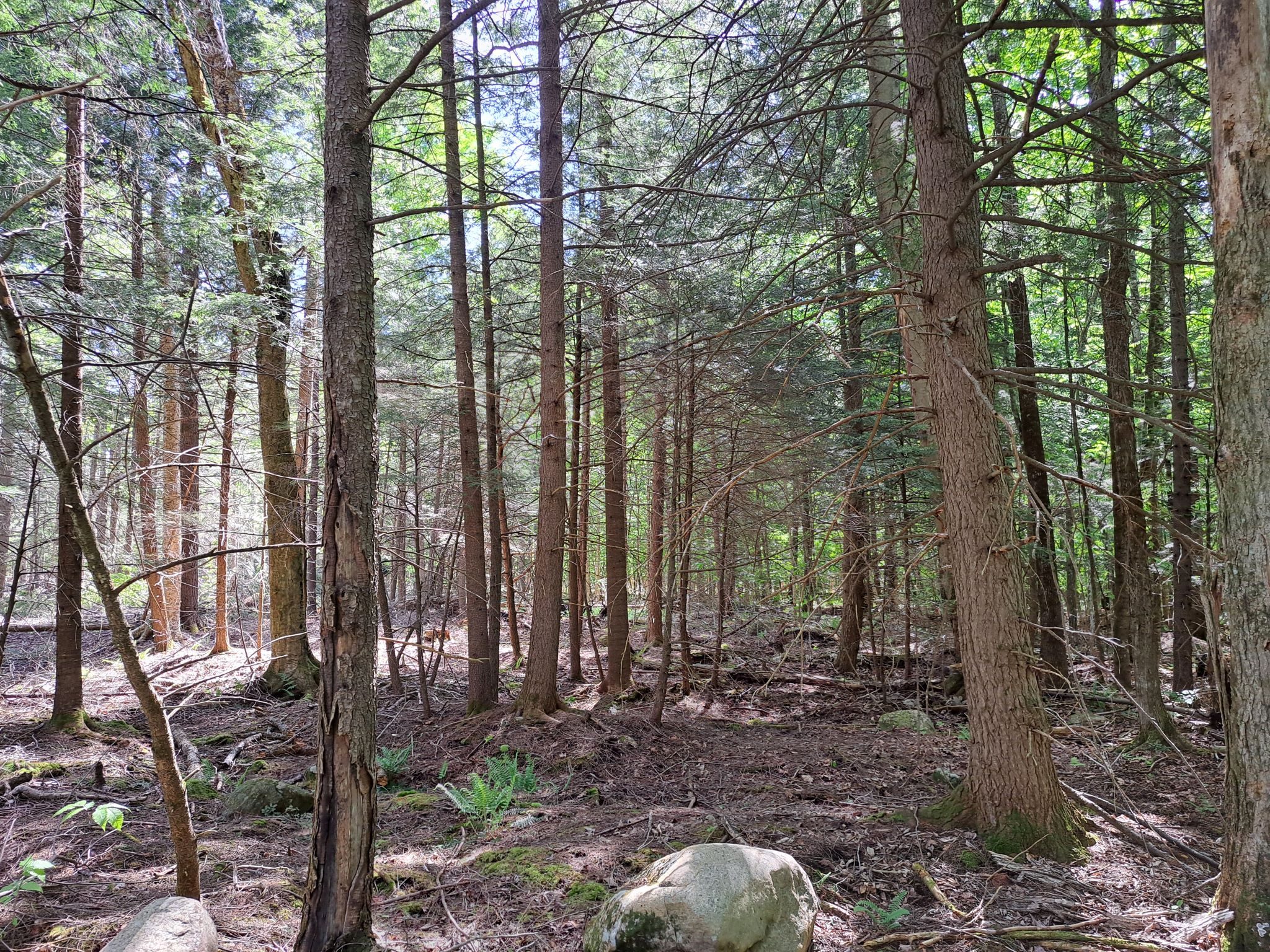 Listing Image 84