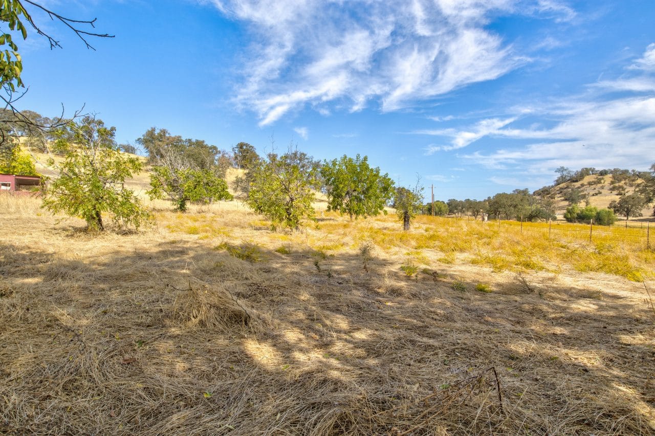 Listing Image 89