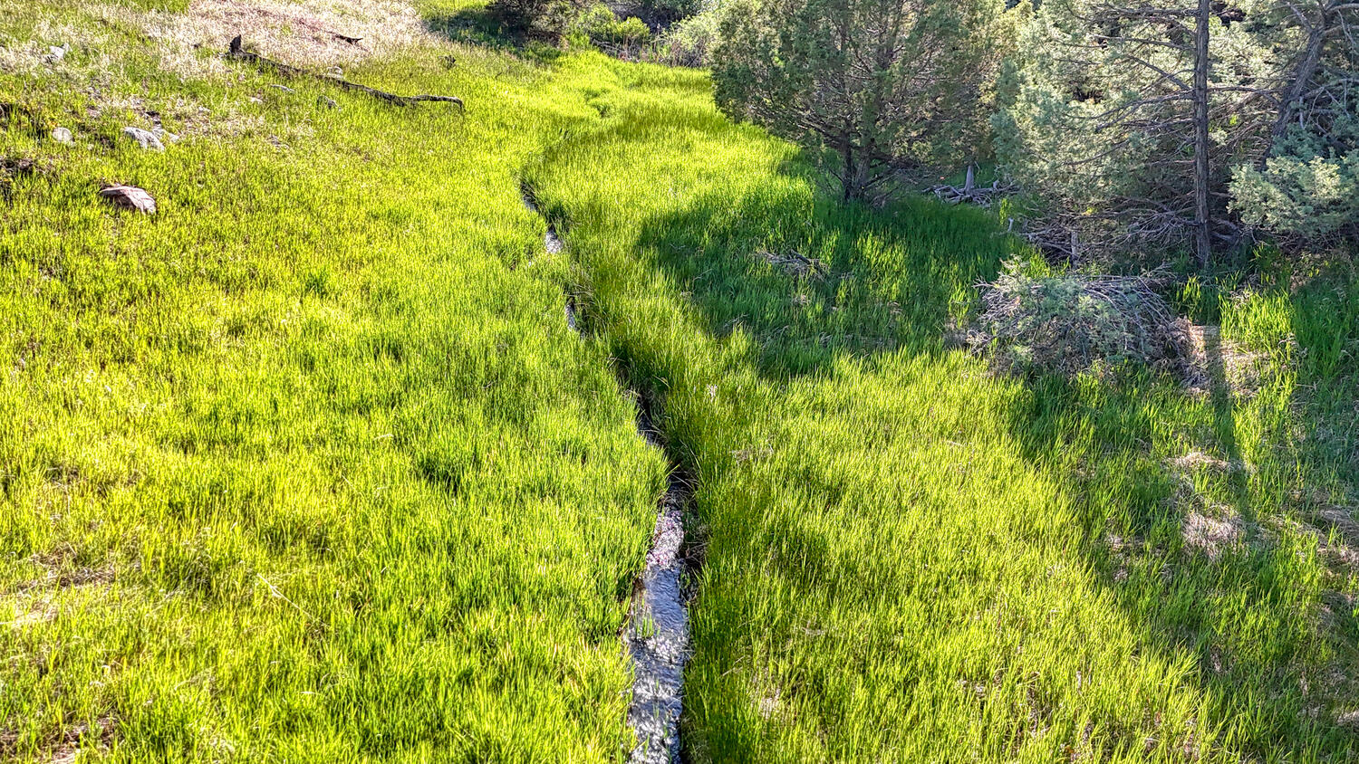 A true Colorado Mountain retreat!