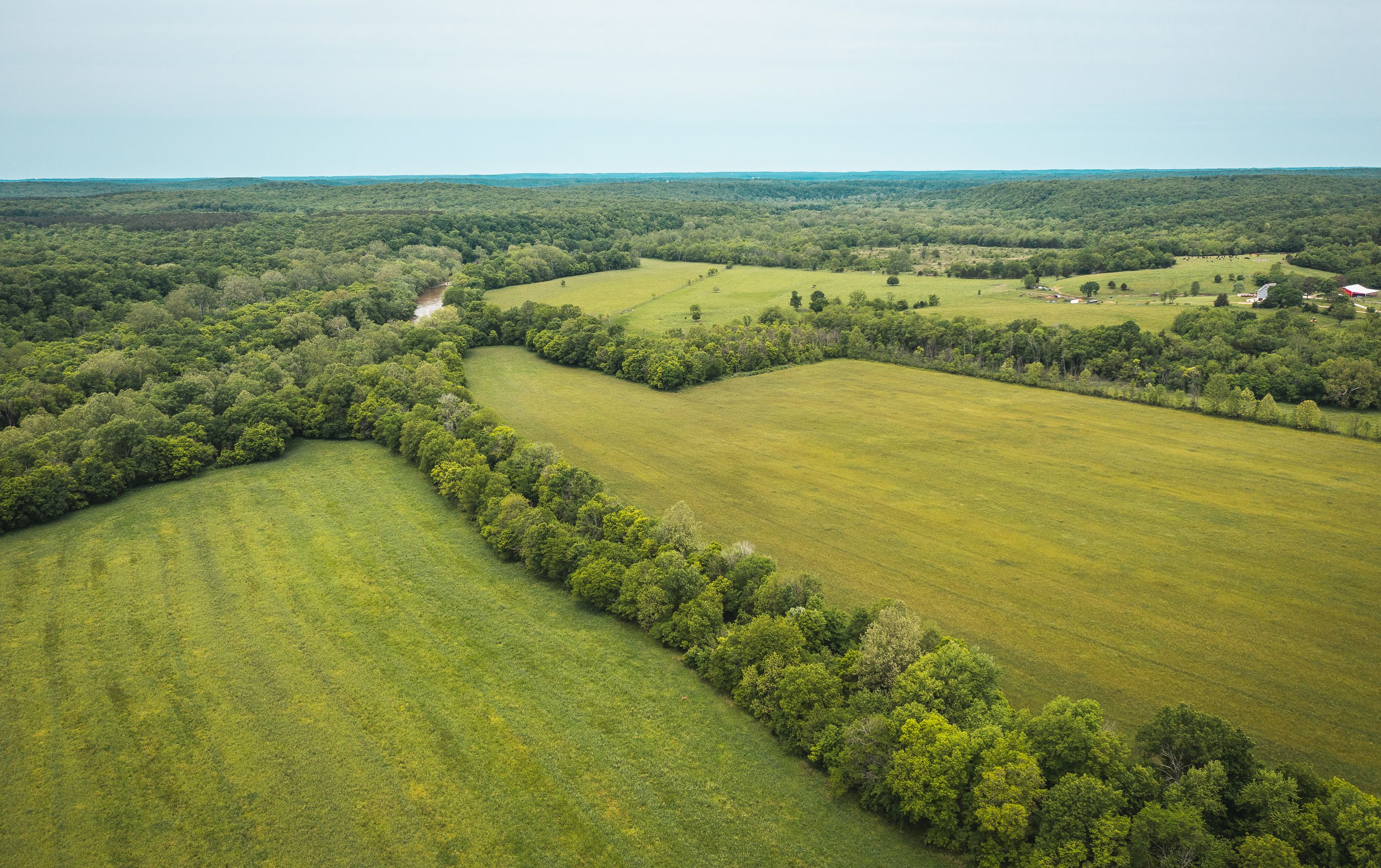 Gasconade Angus Ranch