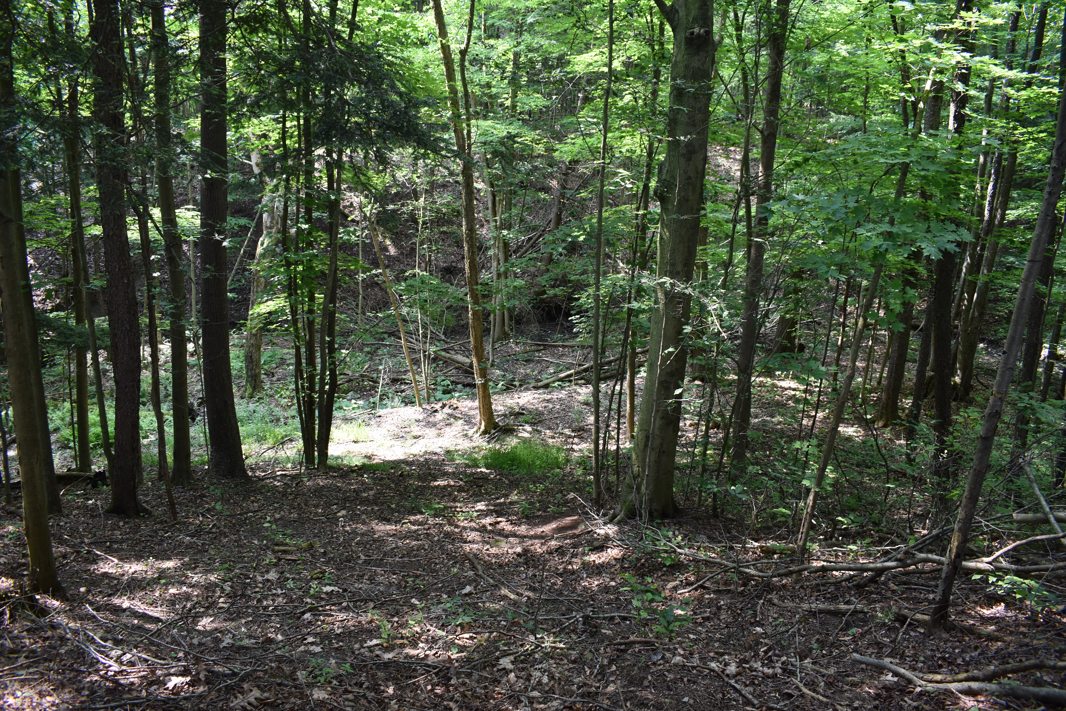 Listing Image 17