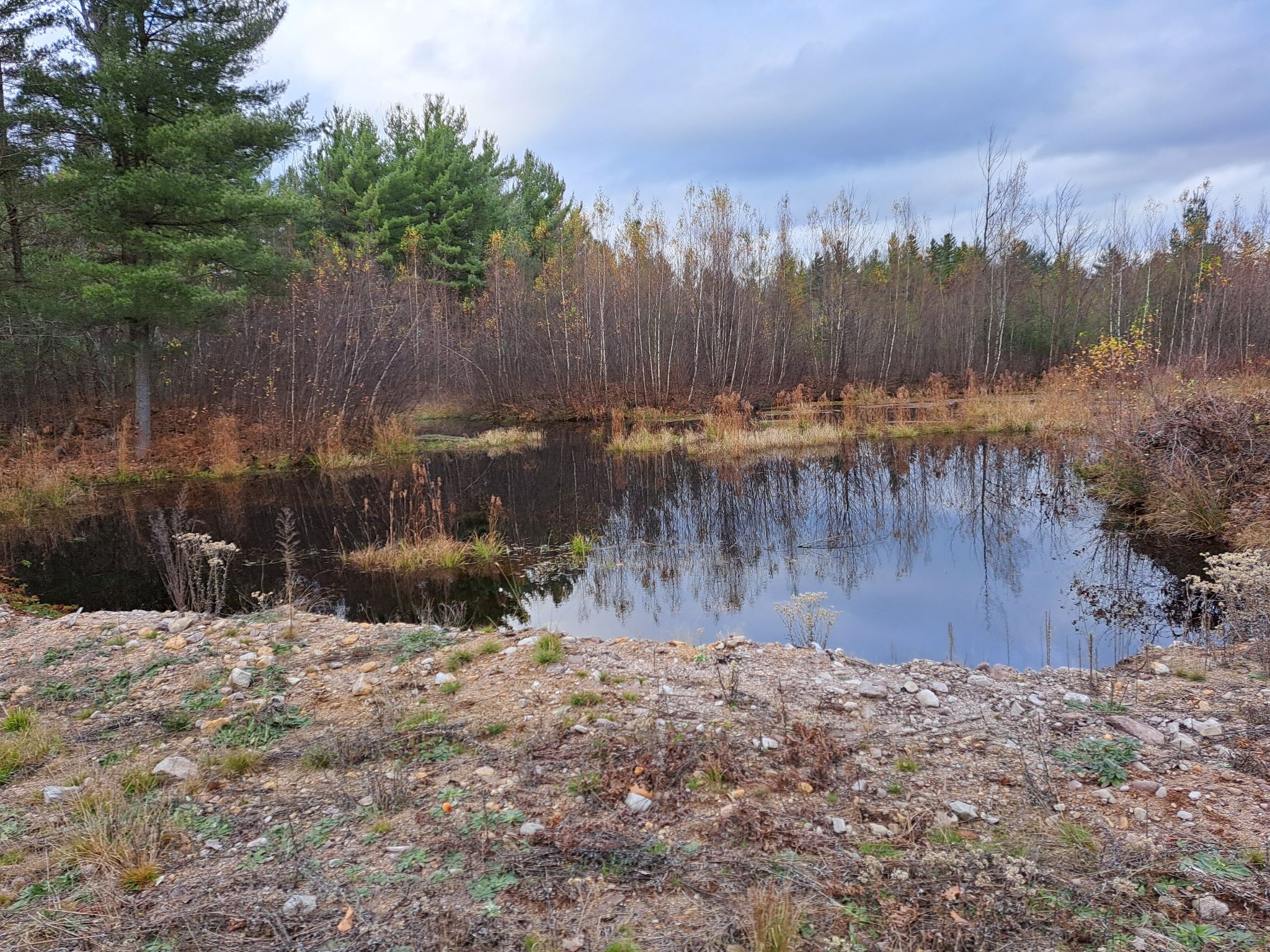 Listing Image 37