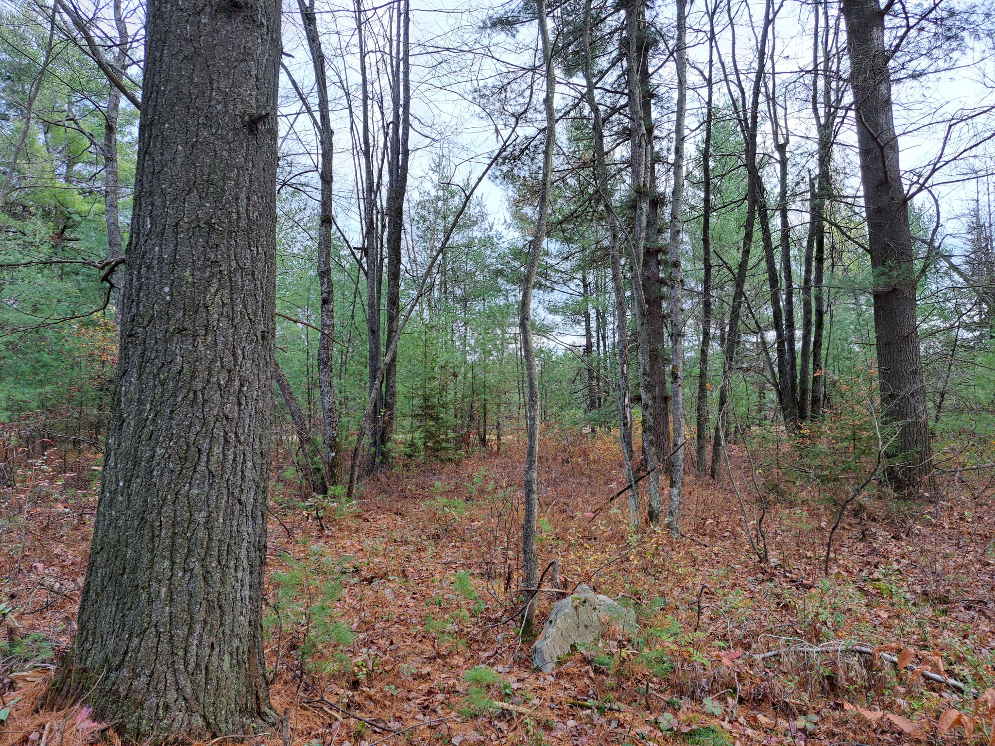 Listing Image 35
