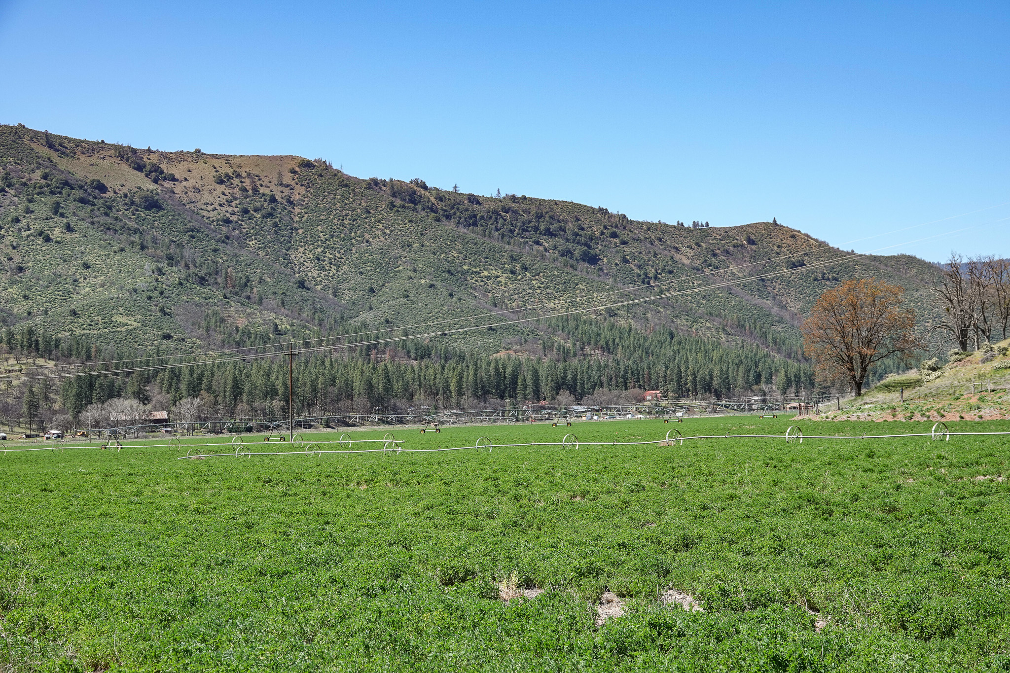 Kraus and Sons Ranch