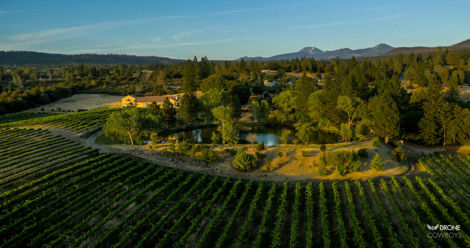 Alger Vineyards and More