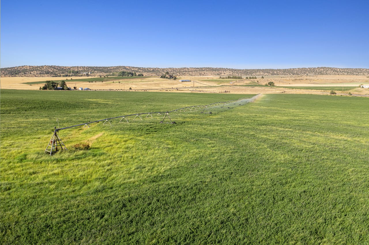 NE Cherry Lane - Productive Irrigated Farm for Sale