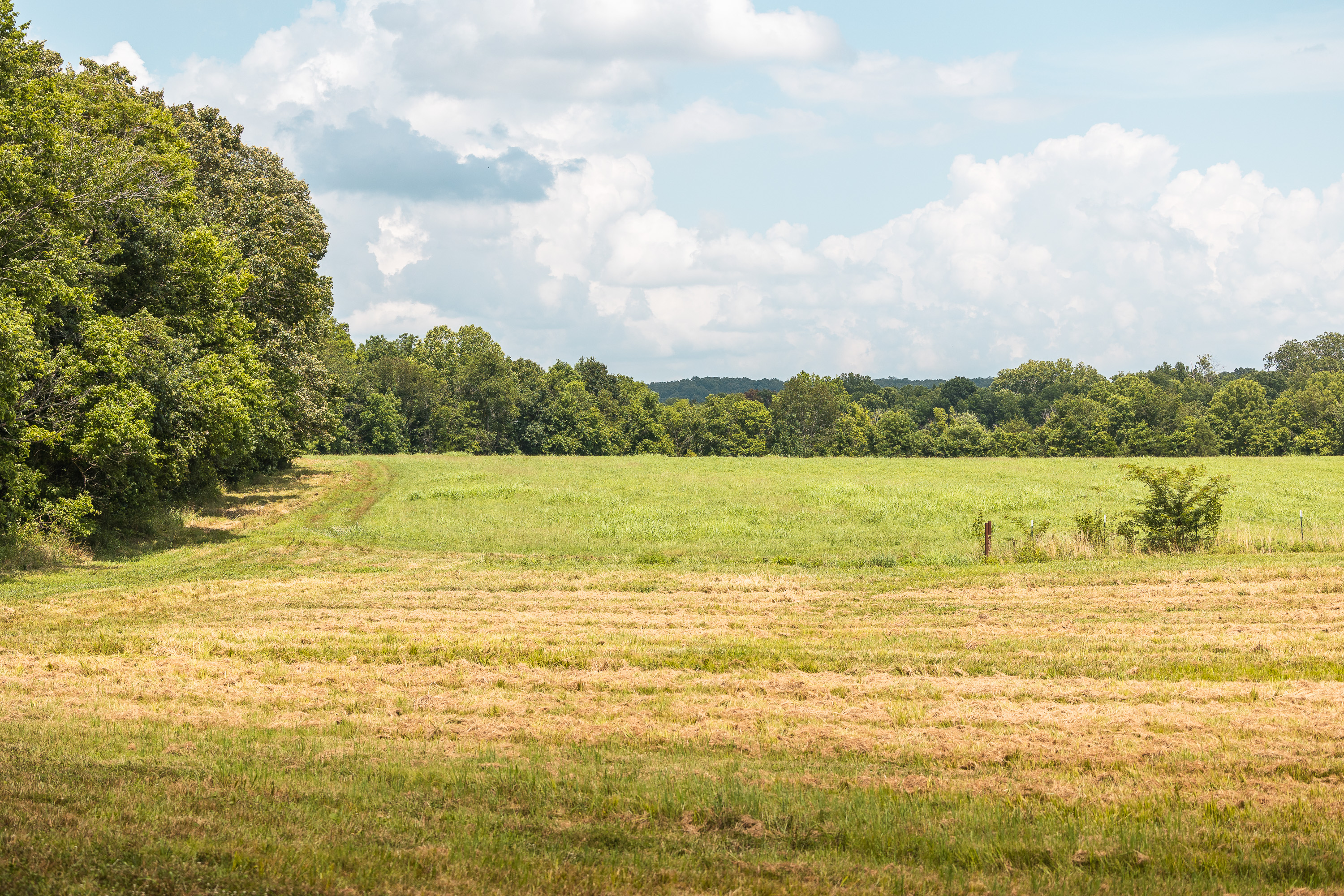 Gasconade Angus Ranch