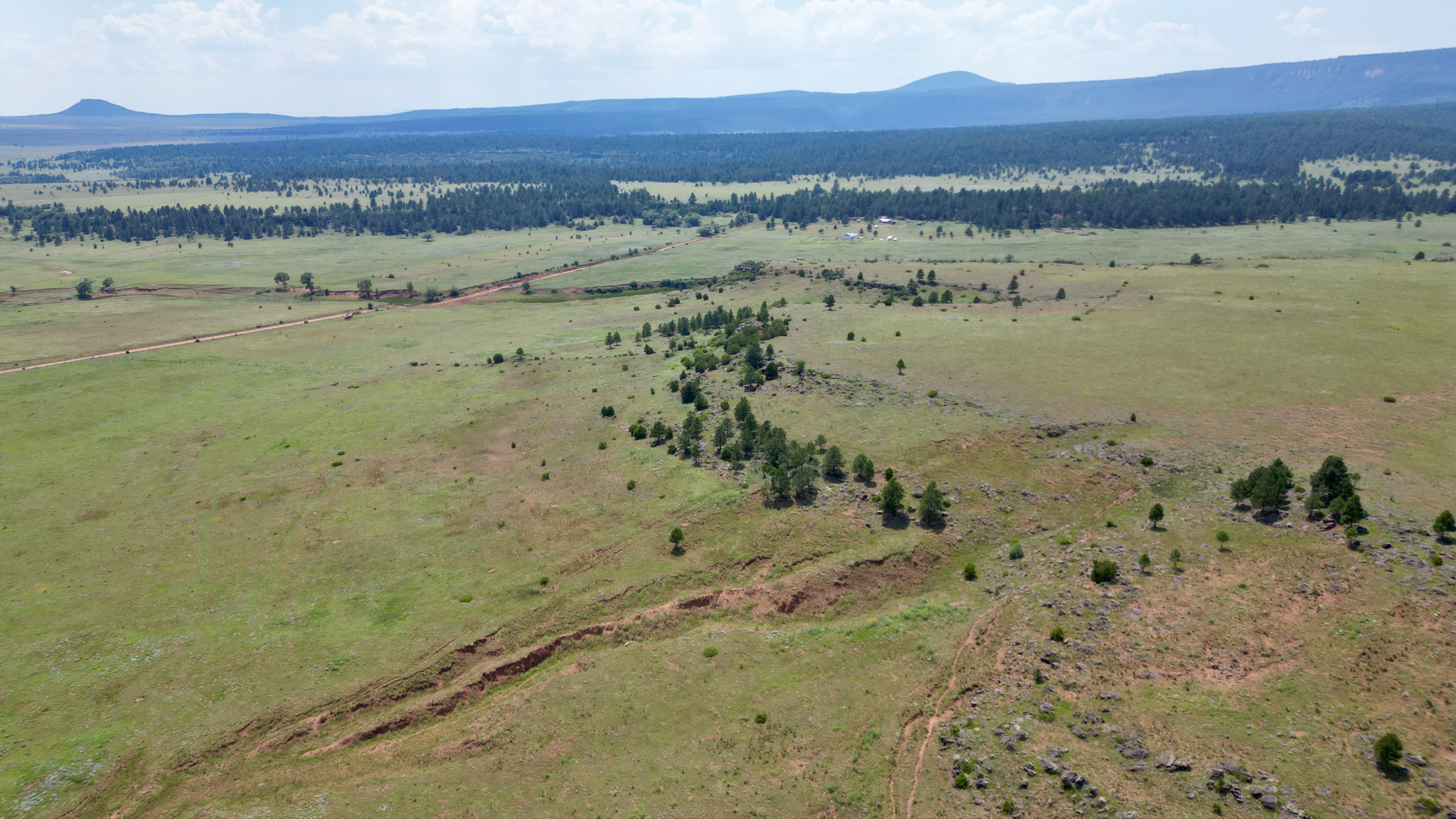 OLC Ranch