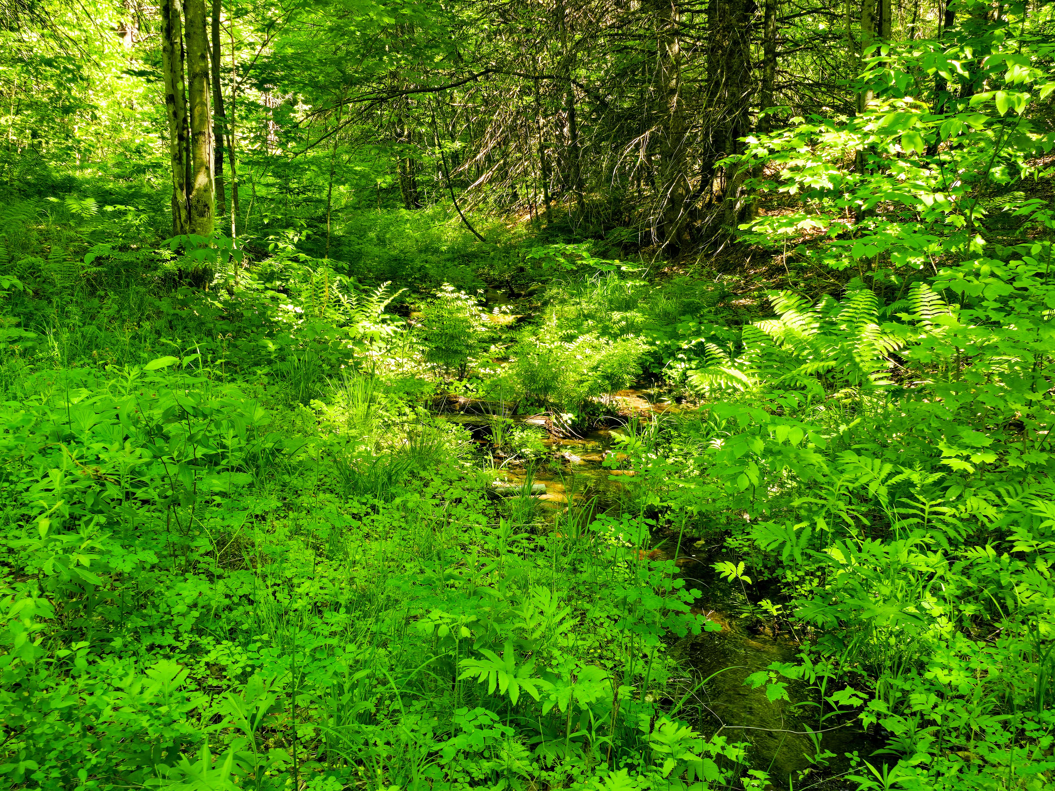 Listing Image 5