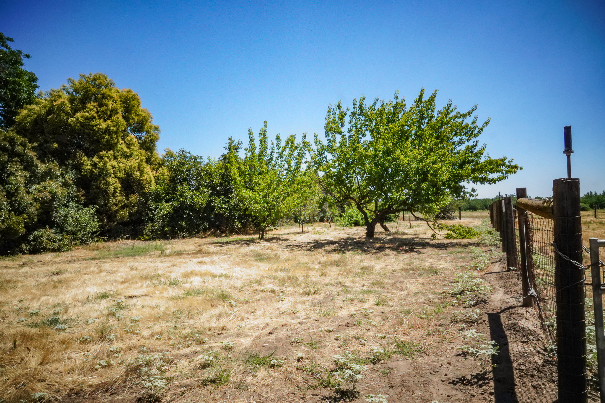 Woodard Ranch