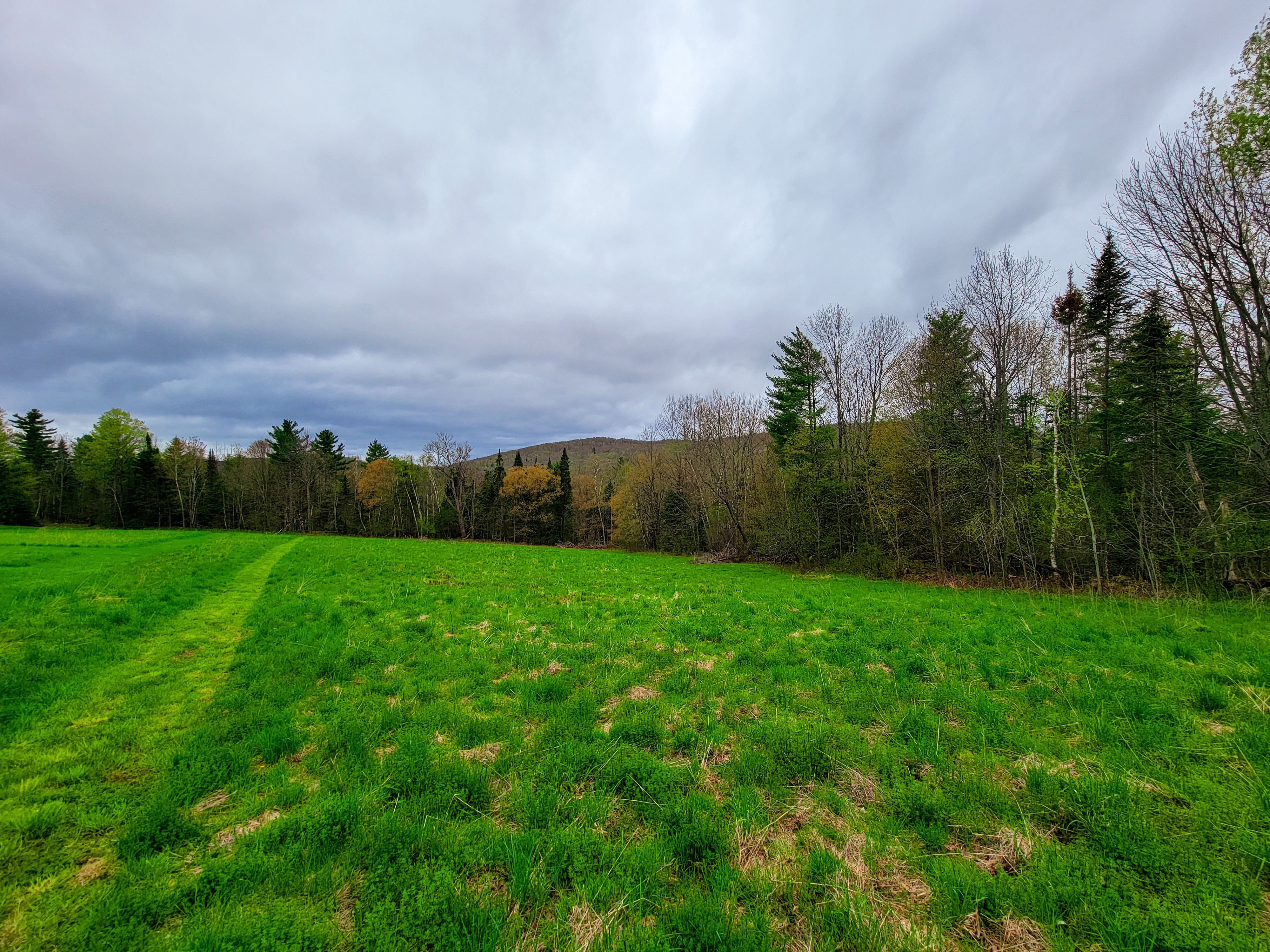 855 Campbell Rd - Waterford