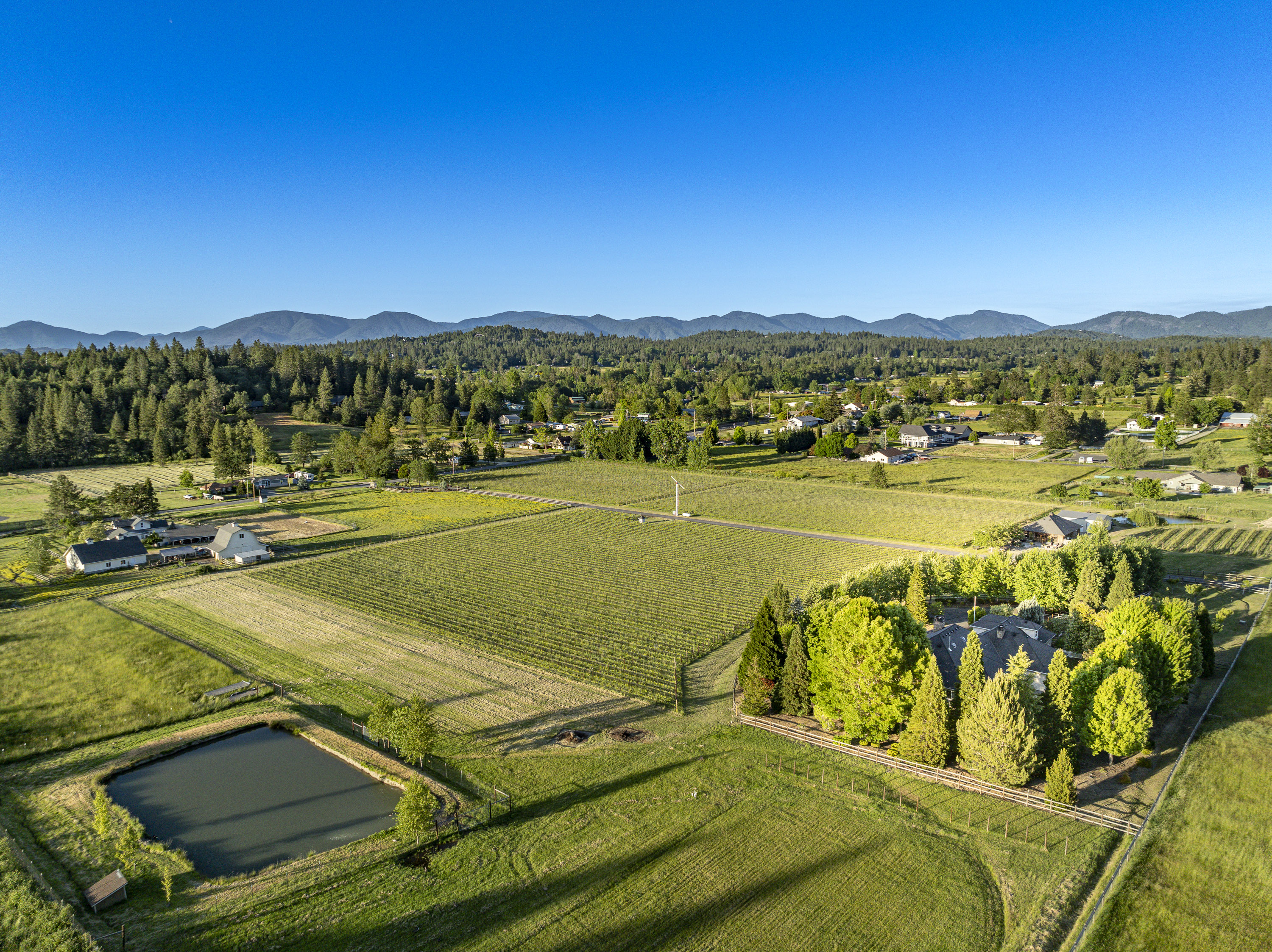 Listing Image 80