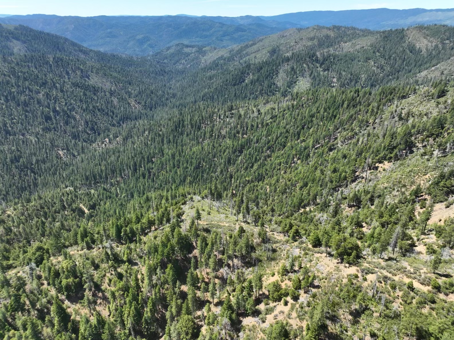 160 Acres Hyampom