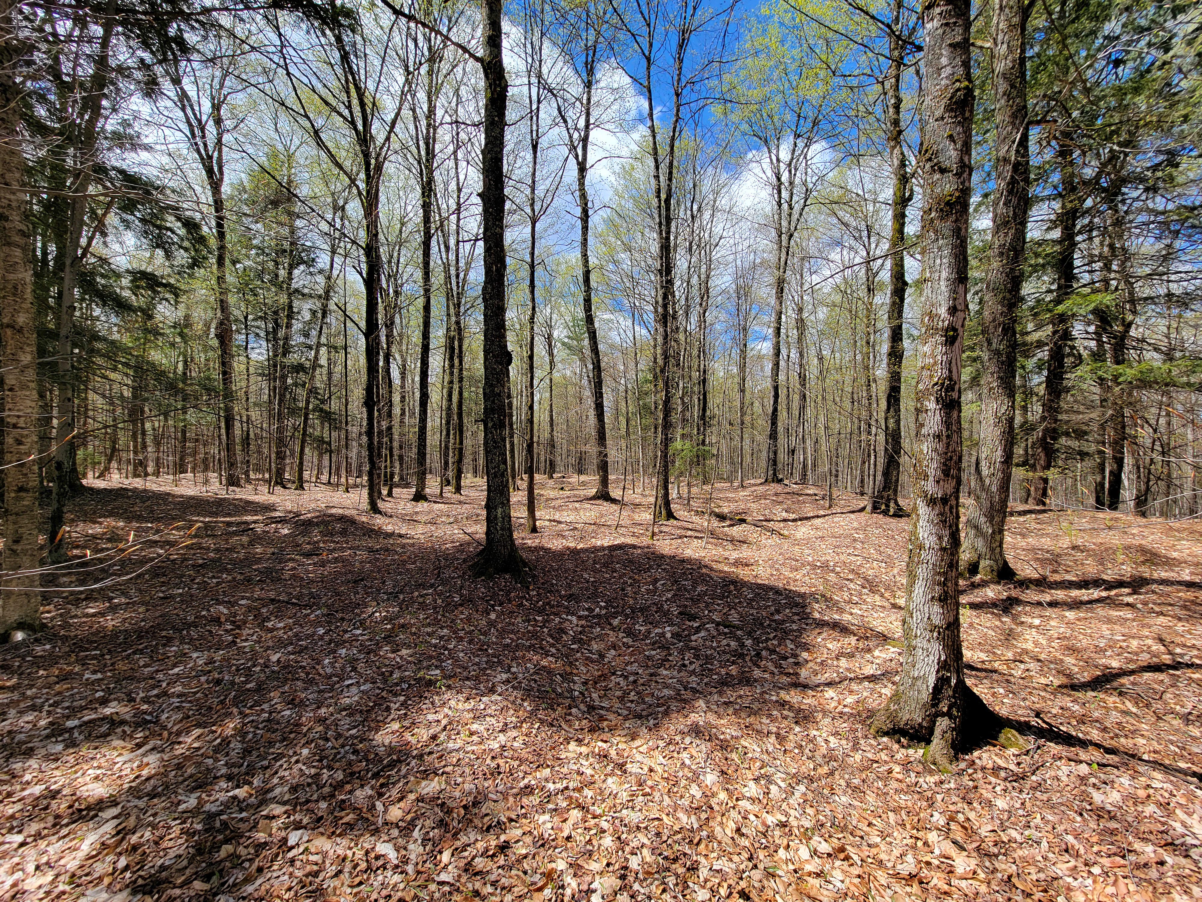 Listing Image 37