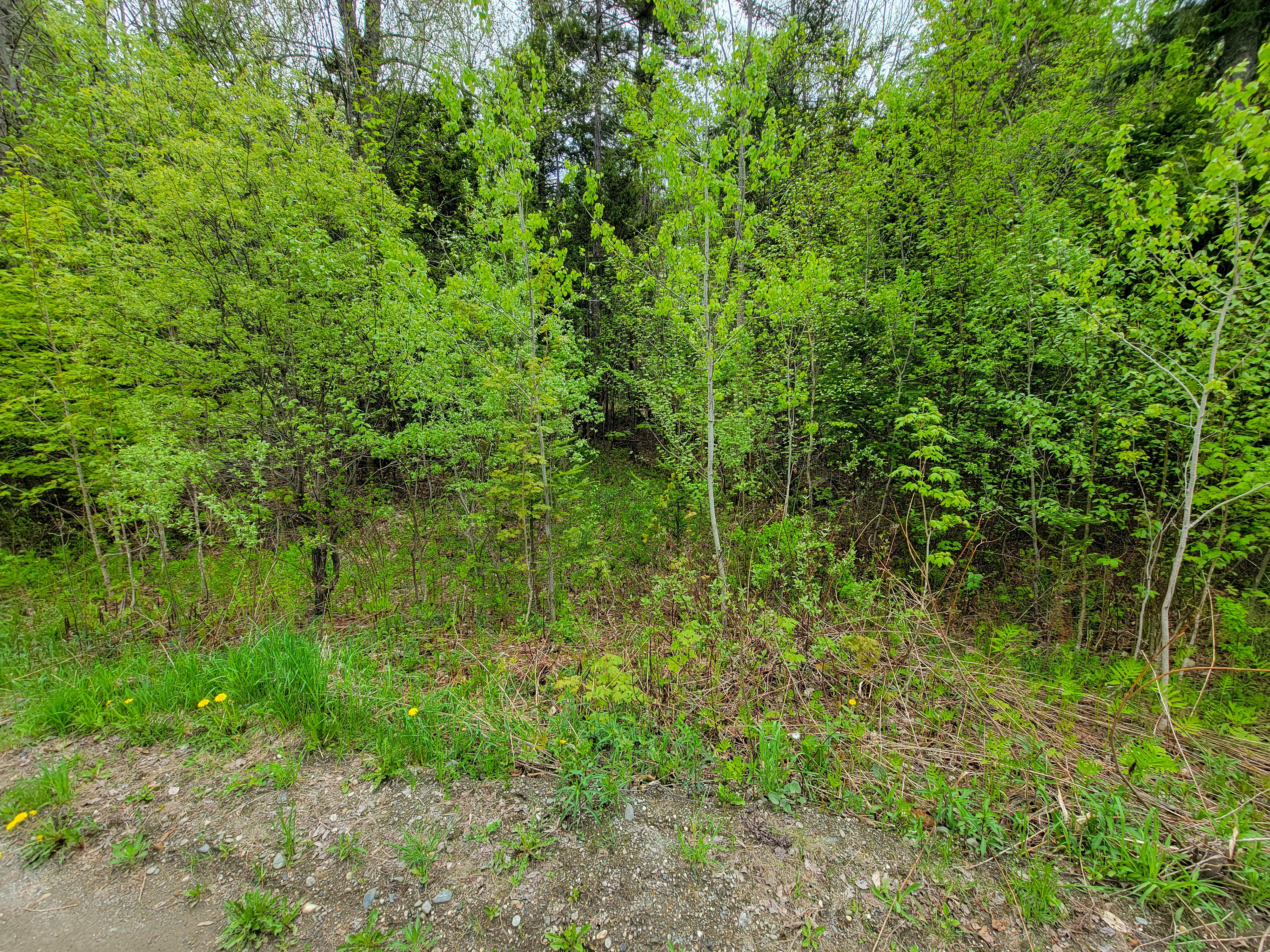 Listing Image 40