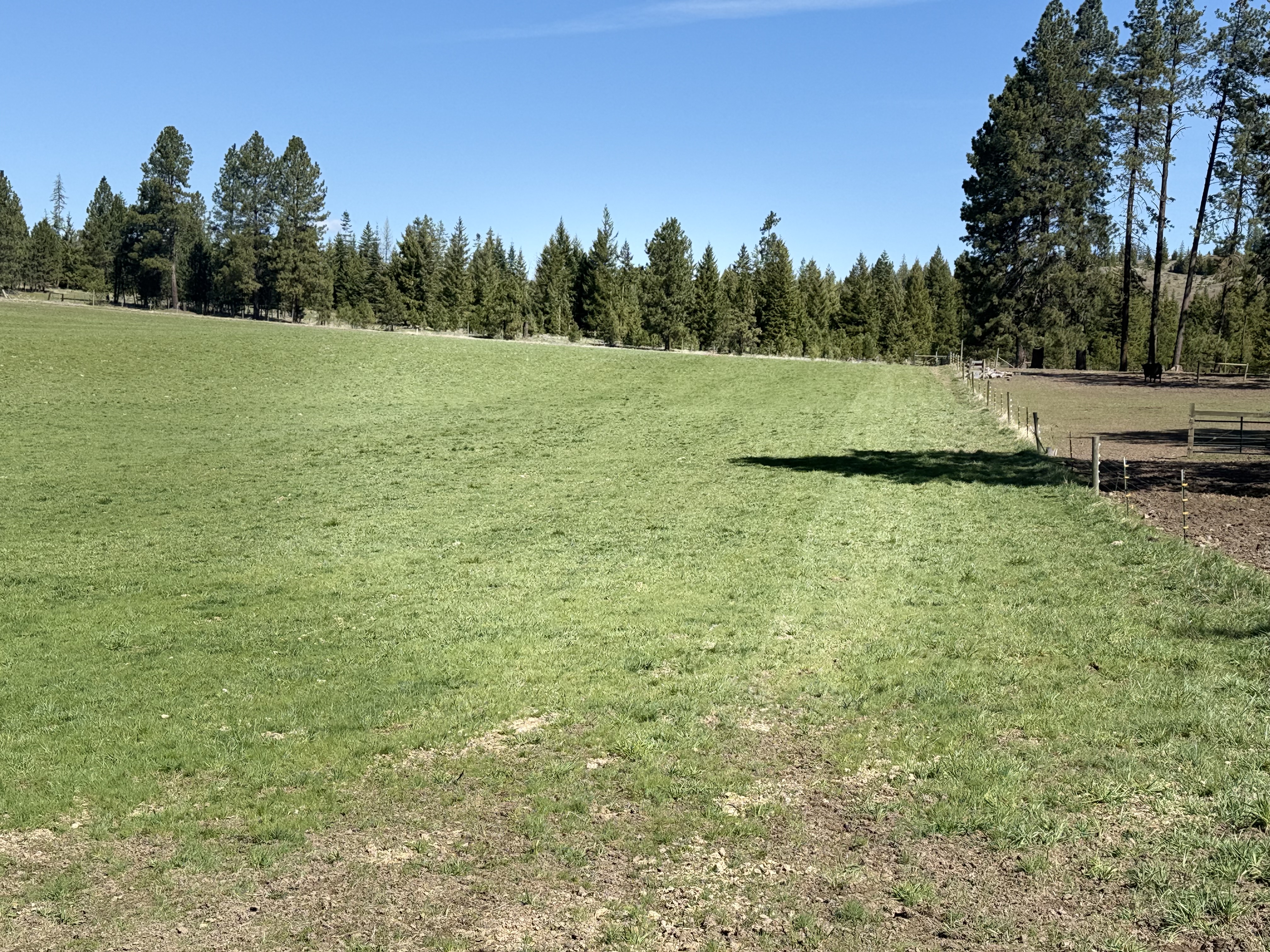 Cattle ranch/Hobby farm
