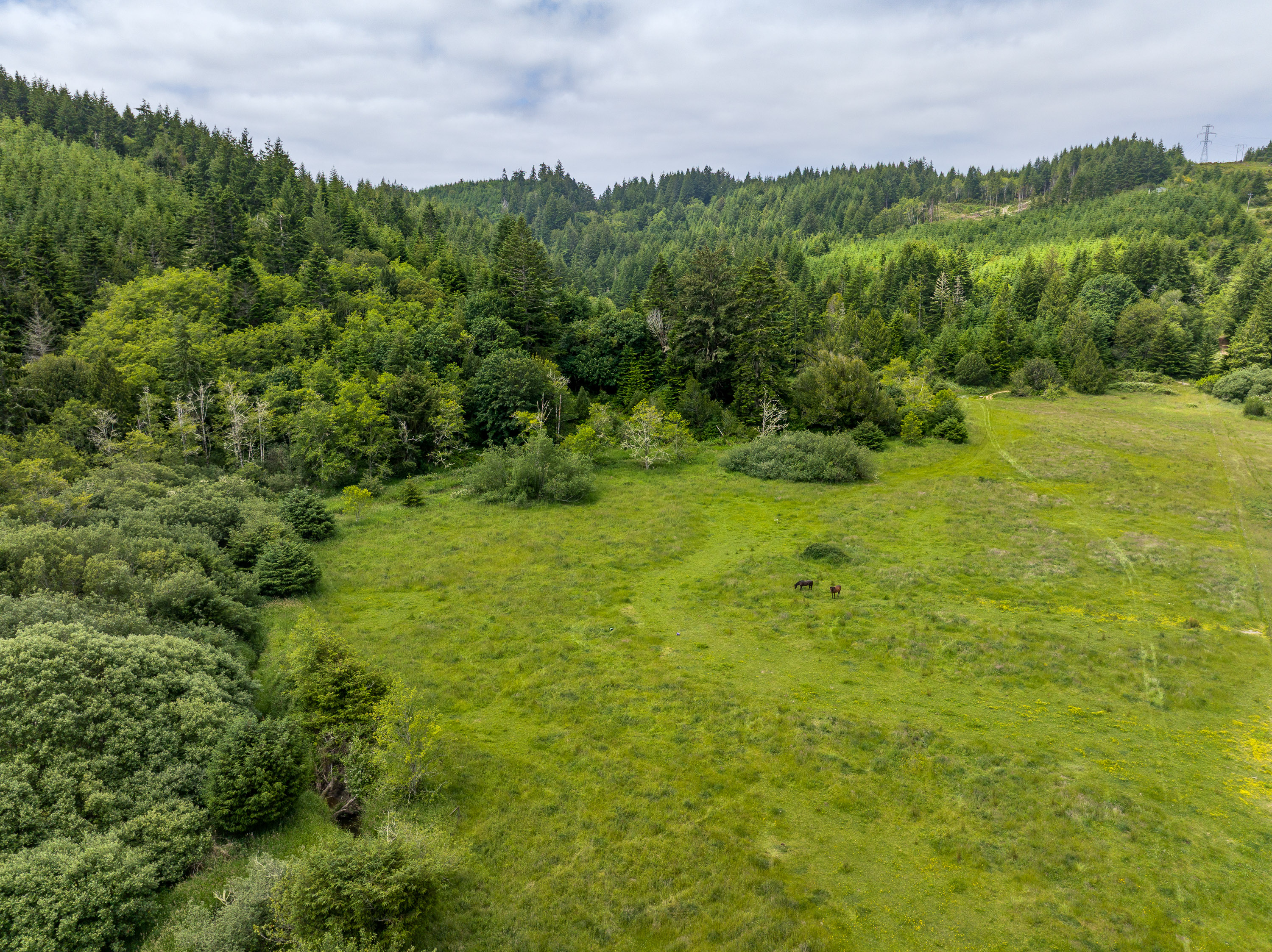 Listing Image 54