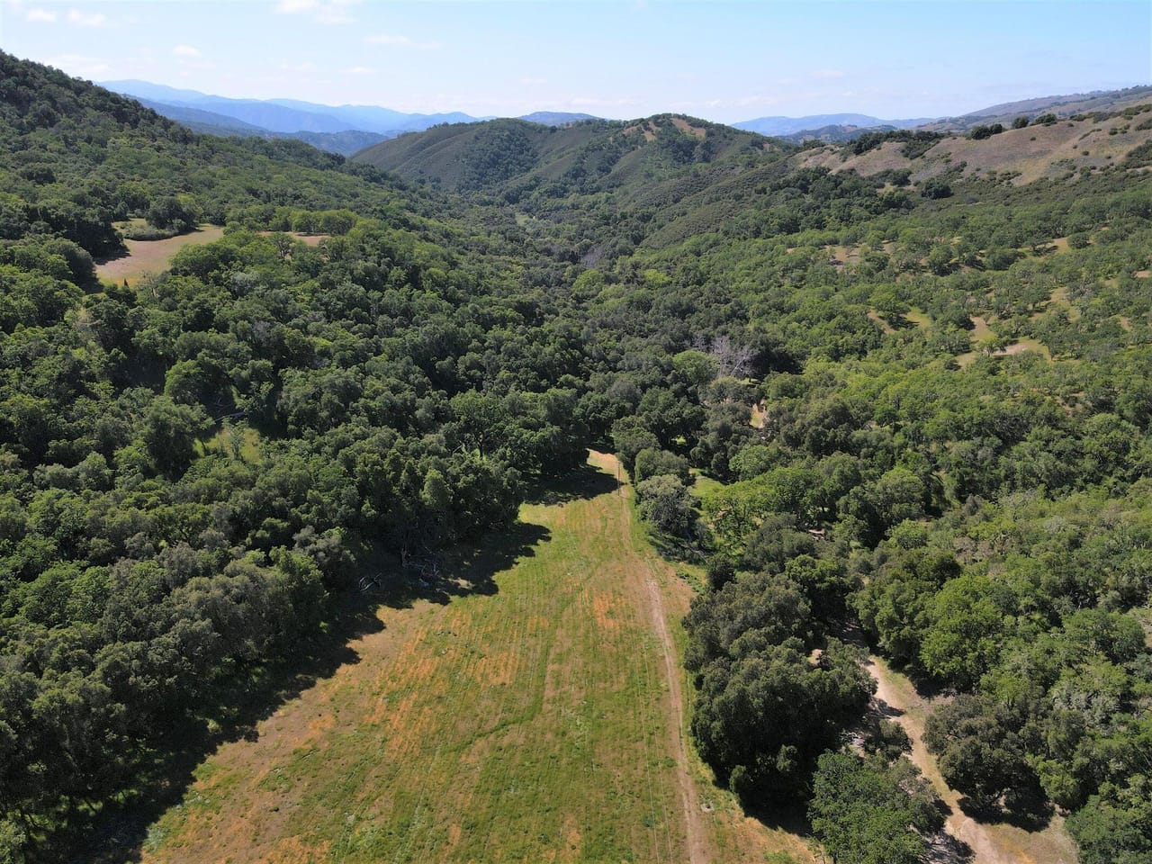 Listing Image 82