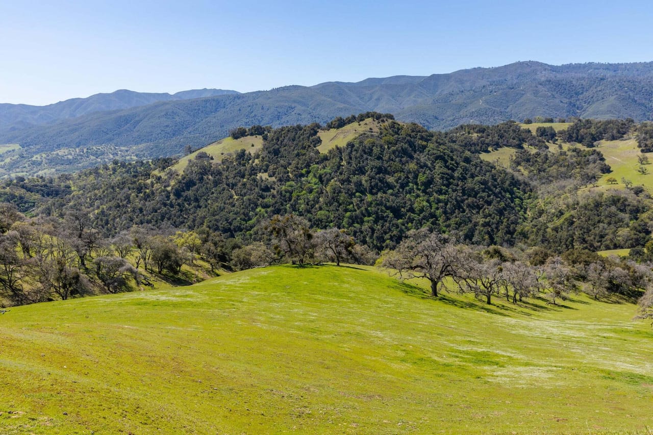 Listing Image 50