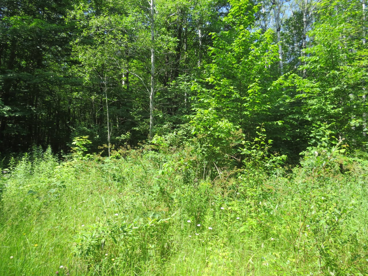 Listing Image 29
