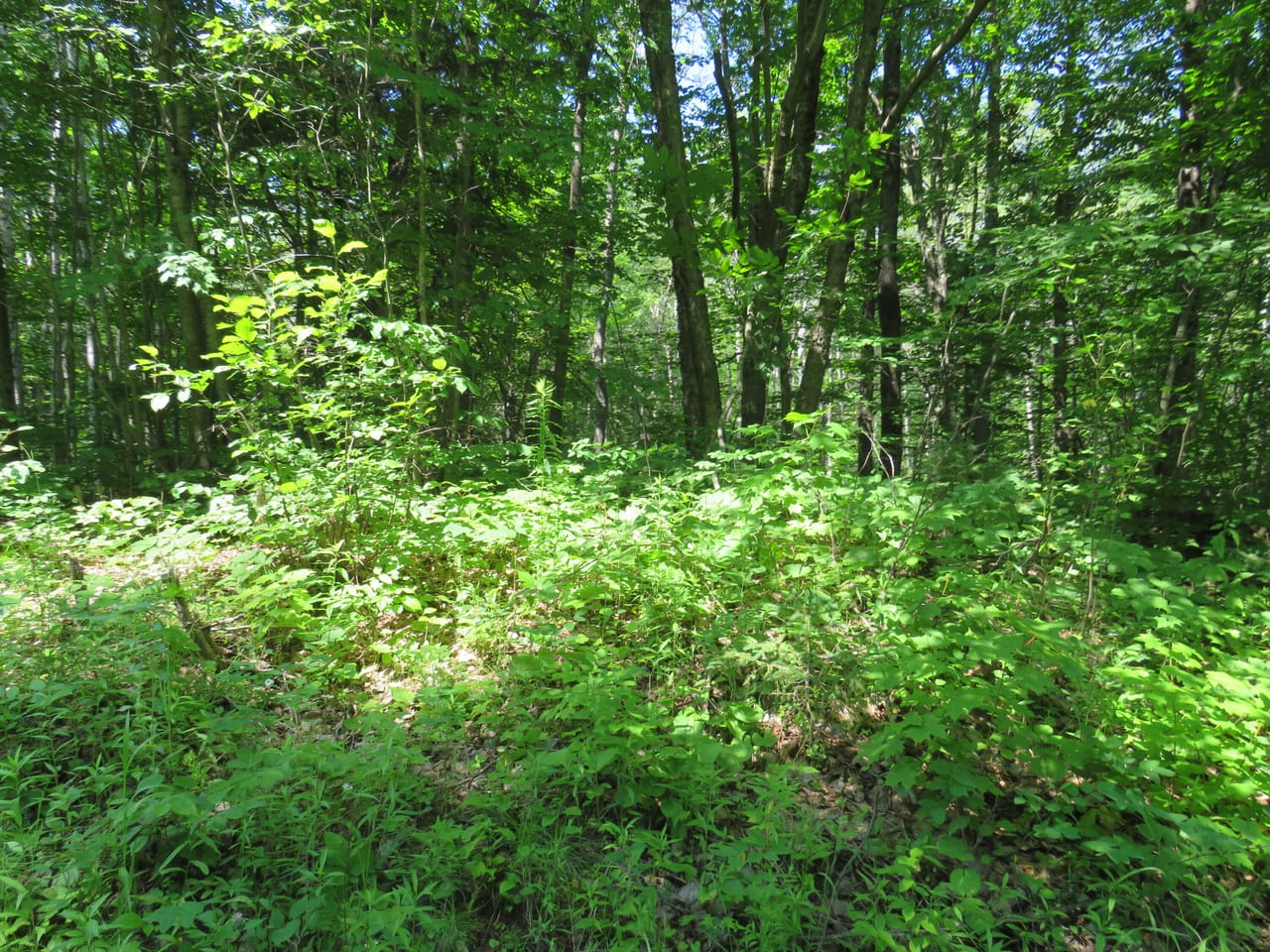 Listing Image 44