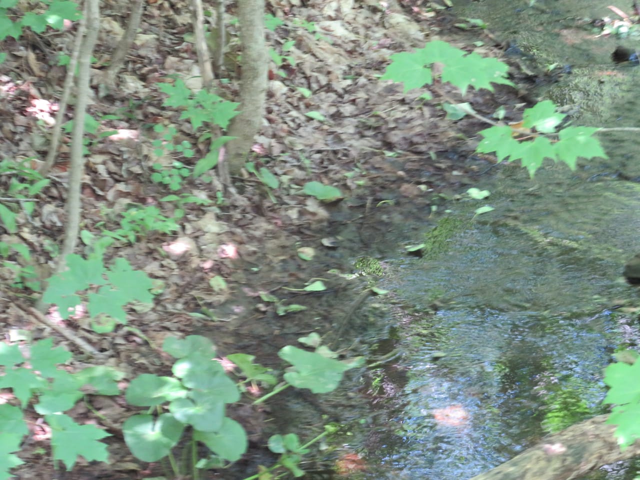 Listing Image 55