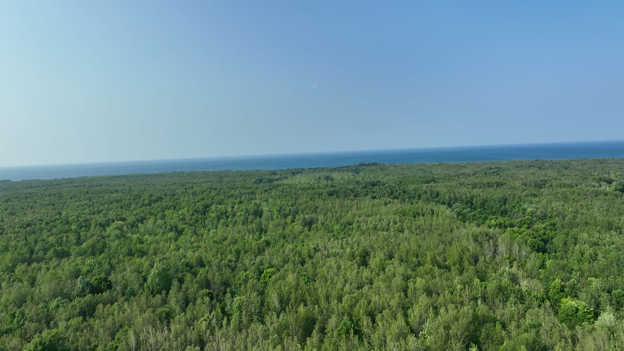 Listing Image 65