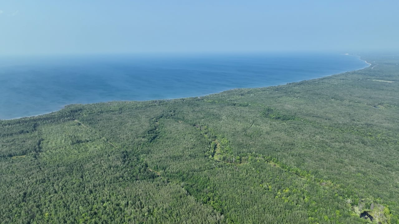 Listing Image 66